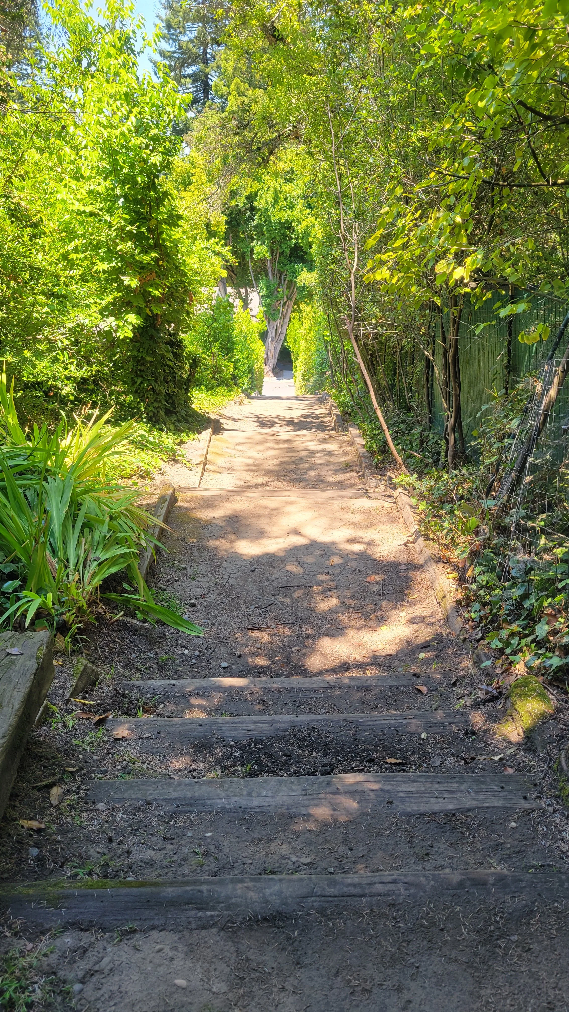 Fred Herbert Path Middle 4.jpg