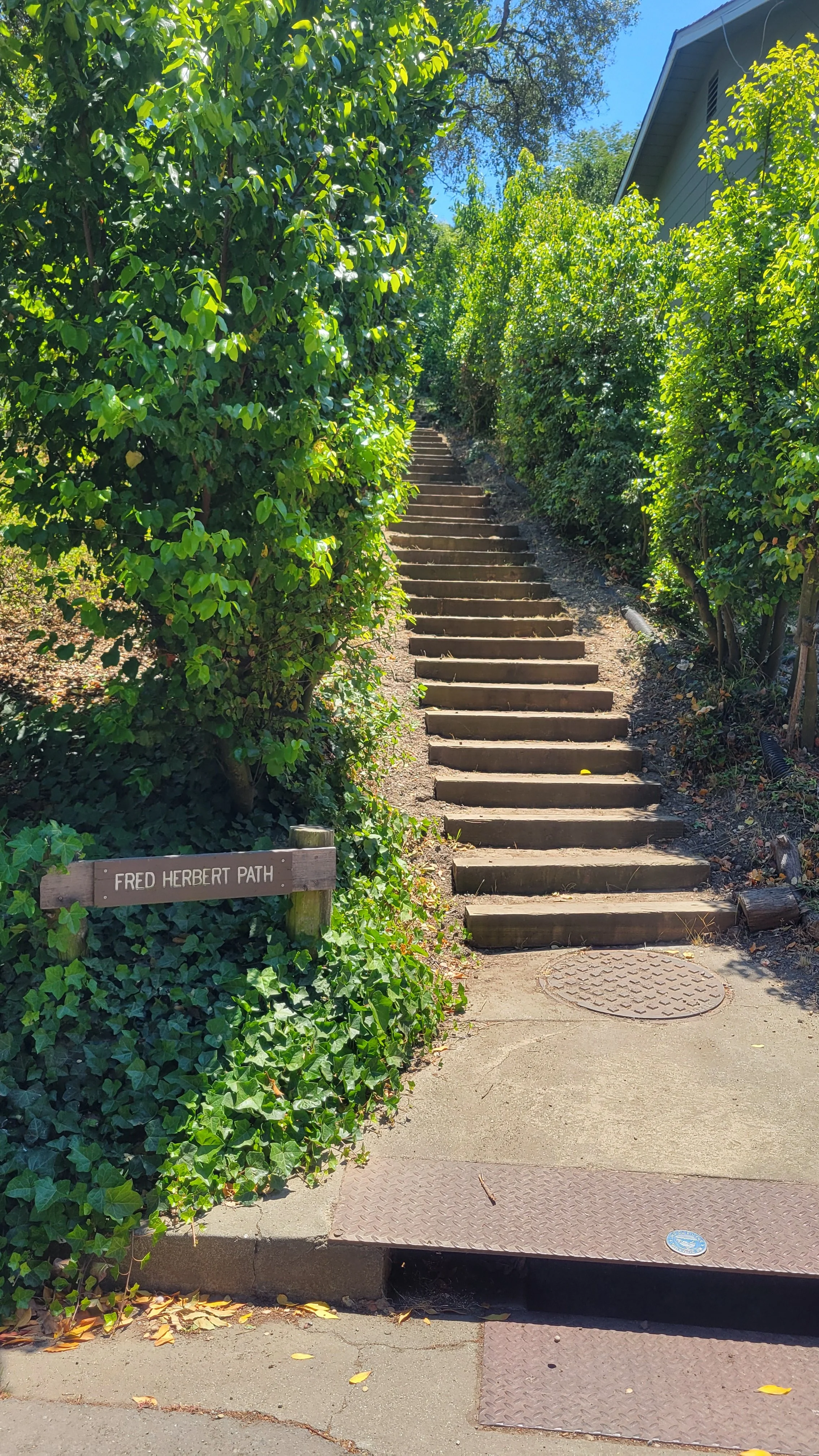 Fred Herbert Path Middle 6.jpg