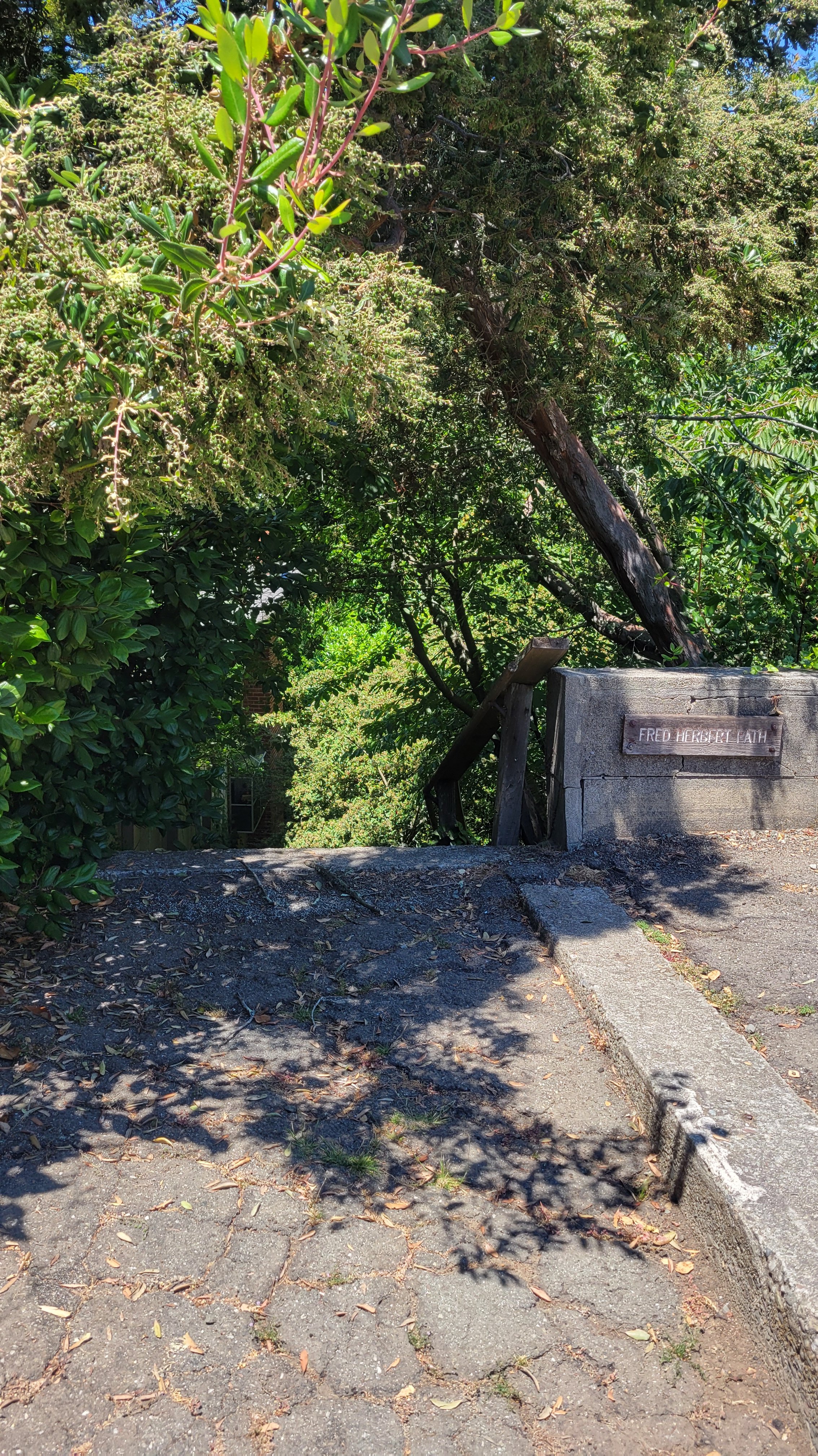 Fred Herbert Path Upper 1.jpg