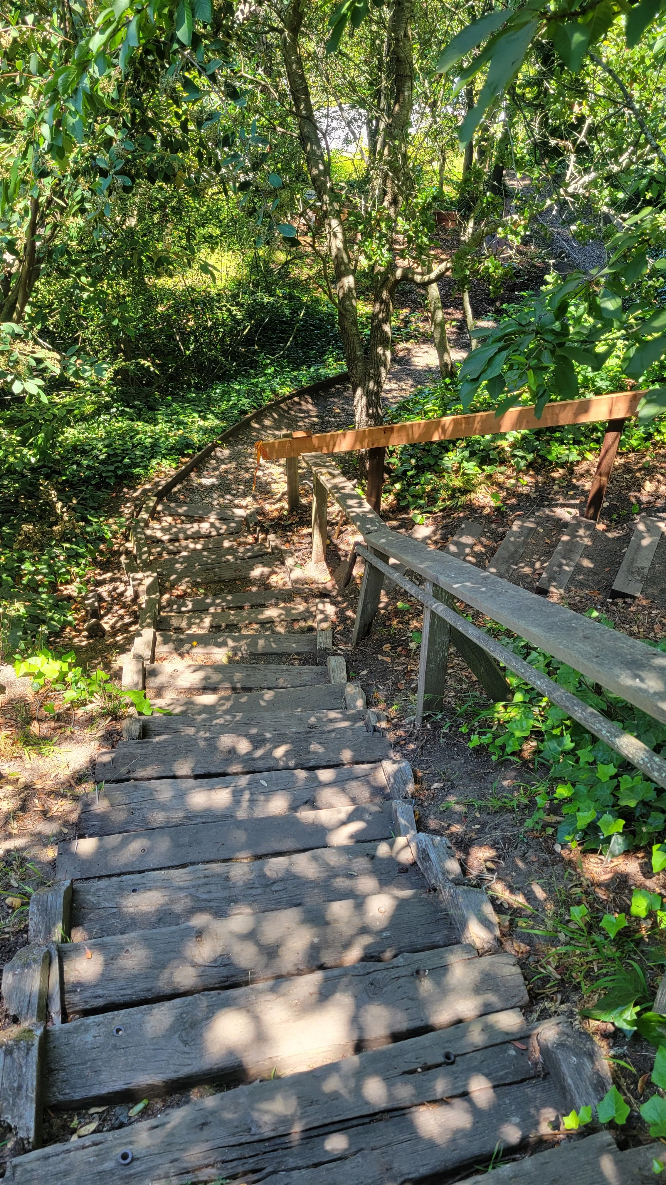 Fred Herbert Path Upper 3.jpg