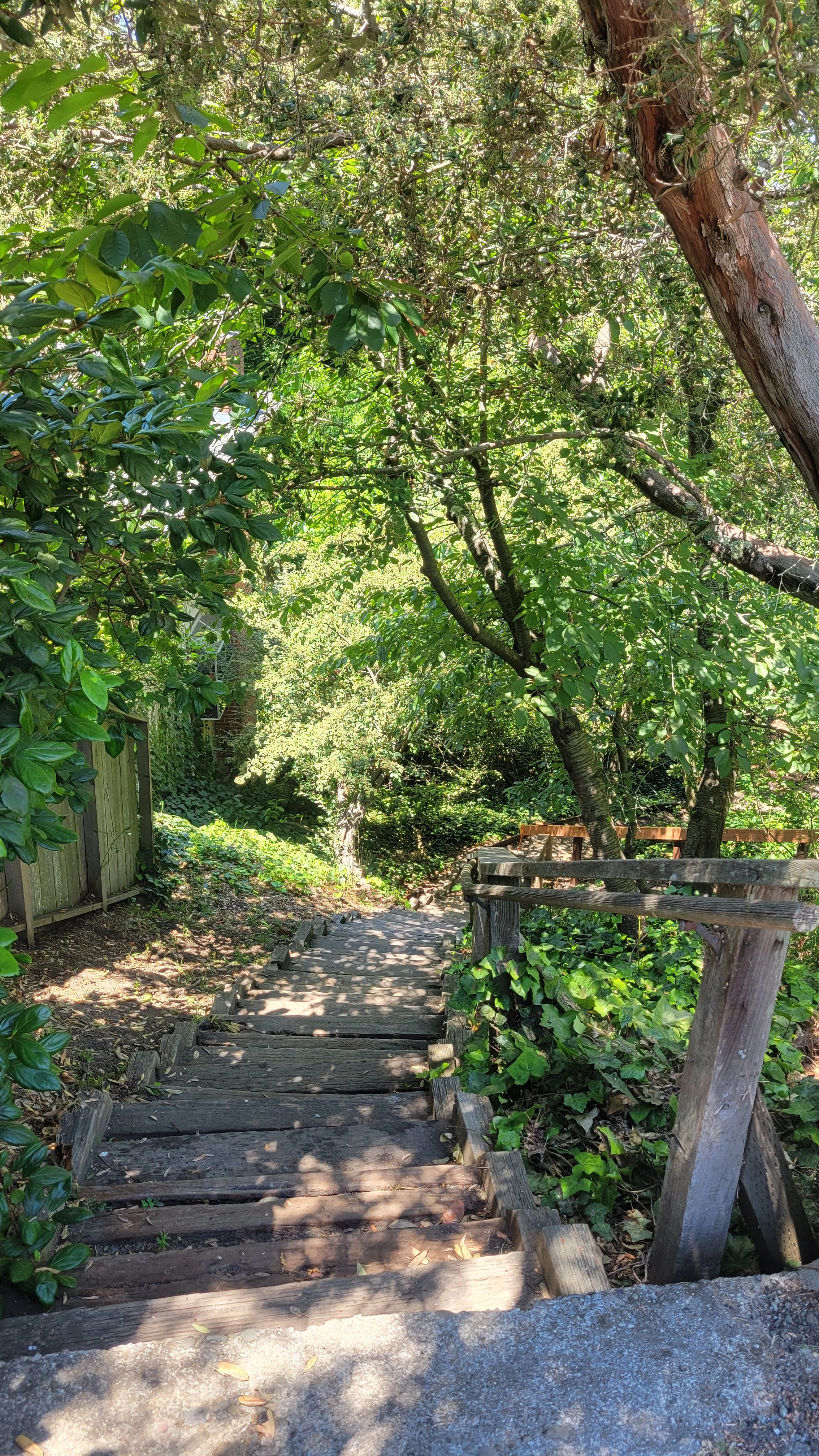 Fred Herbert Path Upper 2.jpg