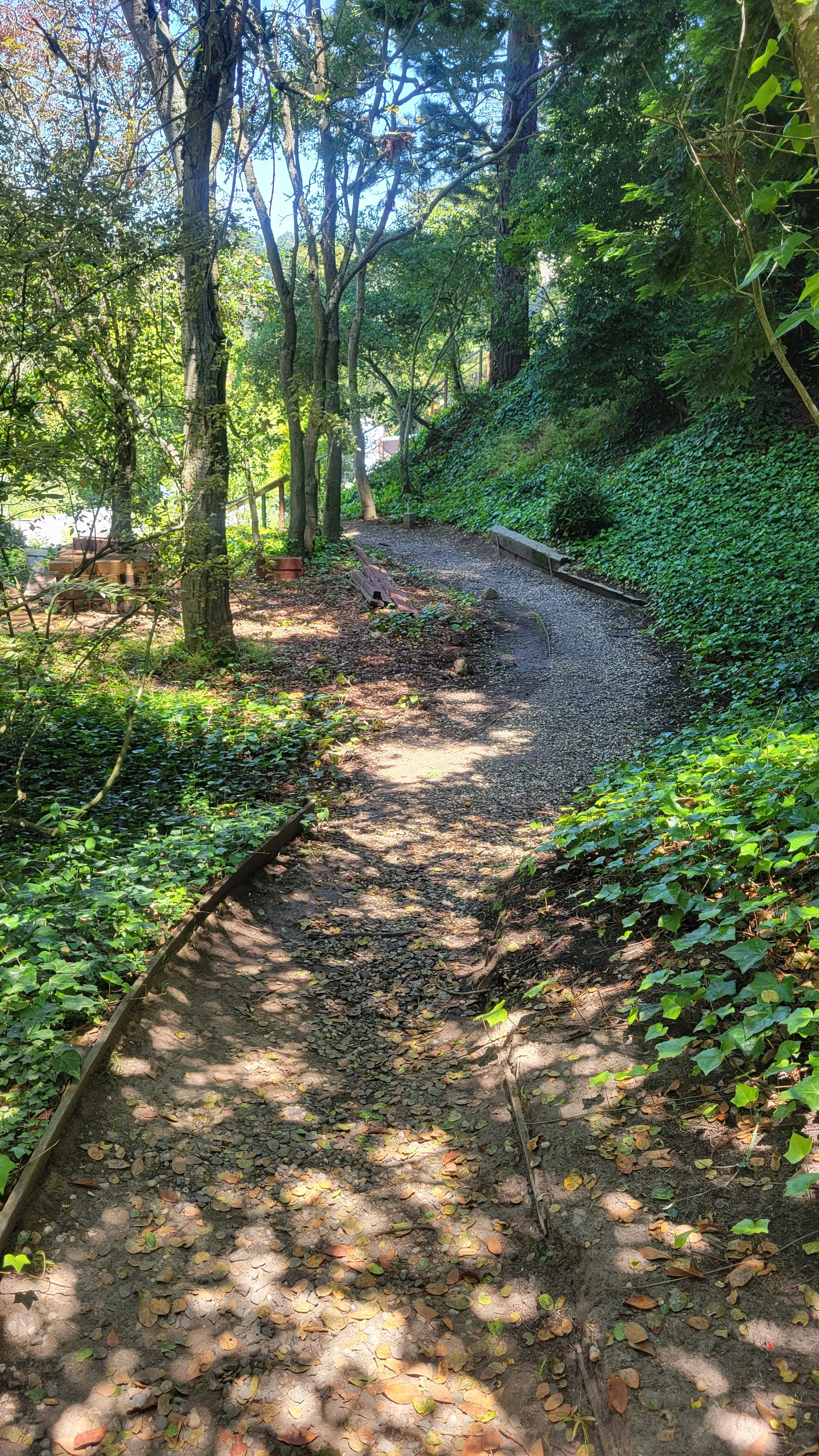 Fred Herbert Path Upper 4.jpg