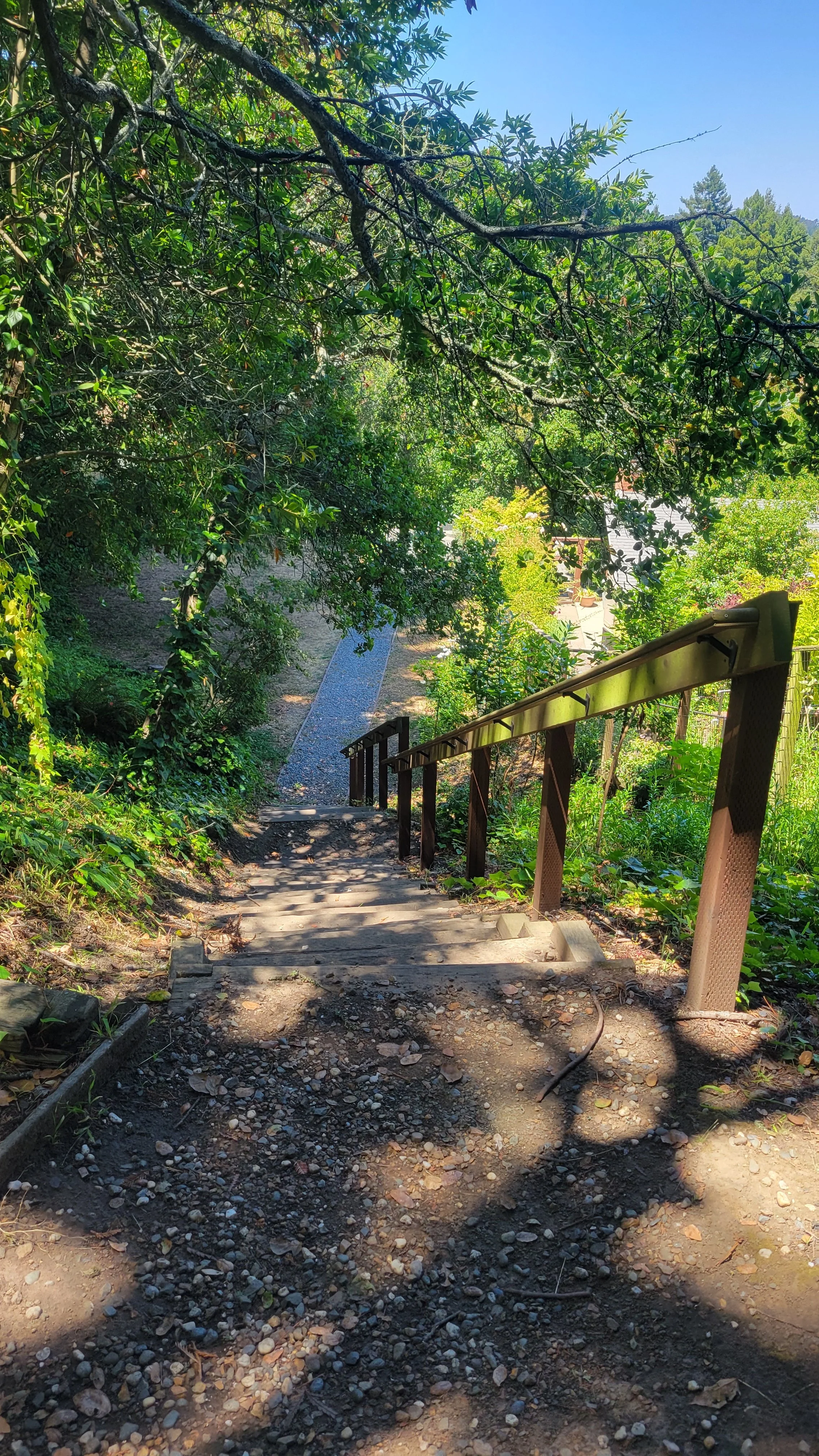 Fred Herbert Path Upper 6.jpg