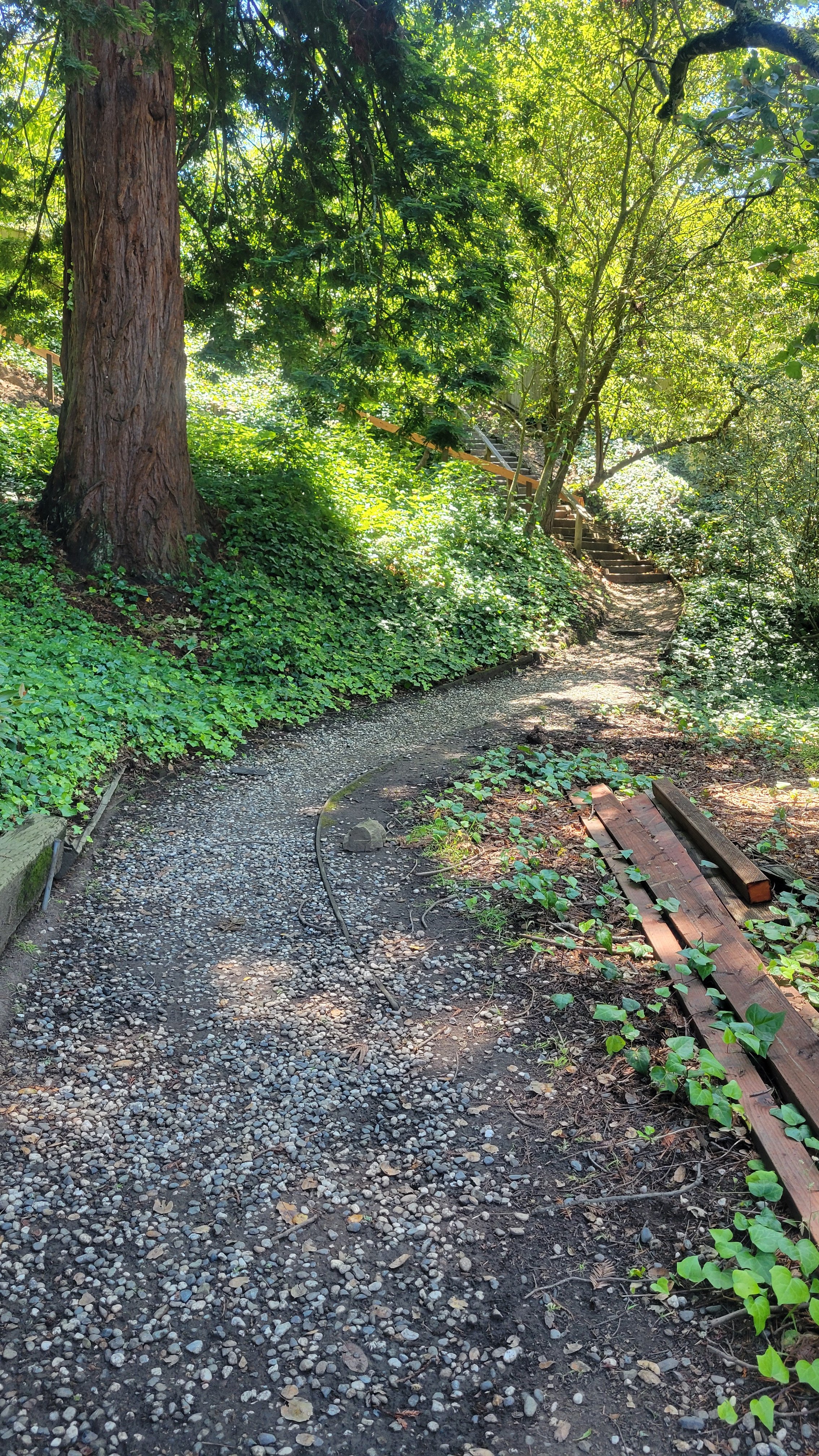 Fred Herbert Path Upper 7.jpg