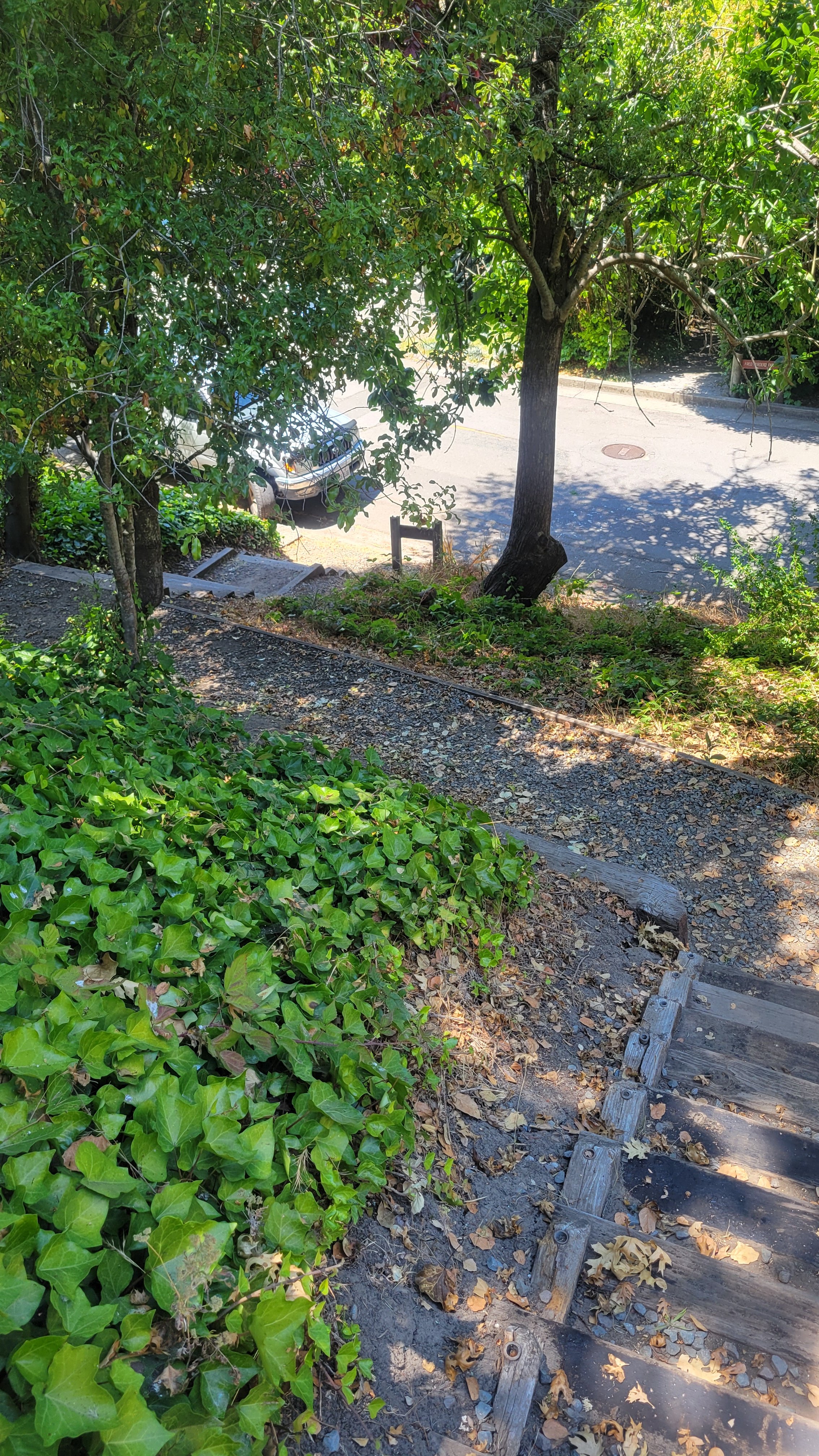 Fred Herbert Path Upper 9.jpg