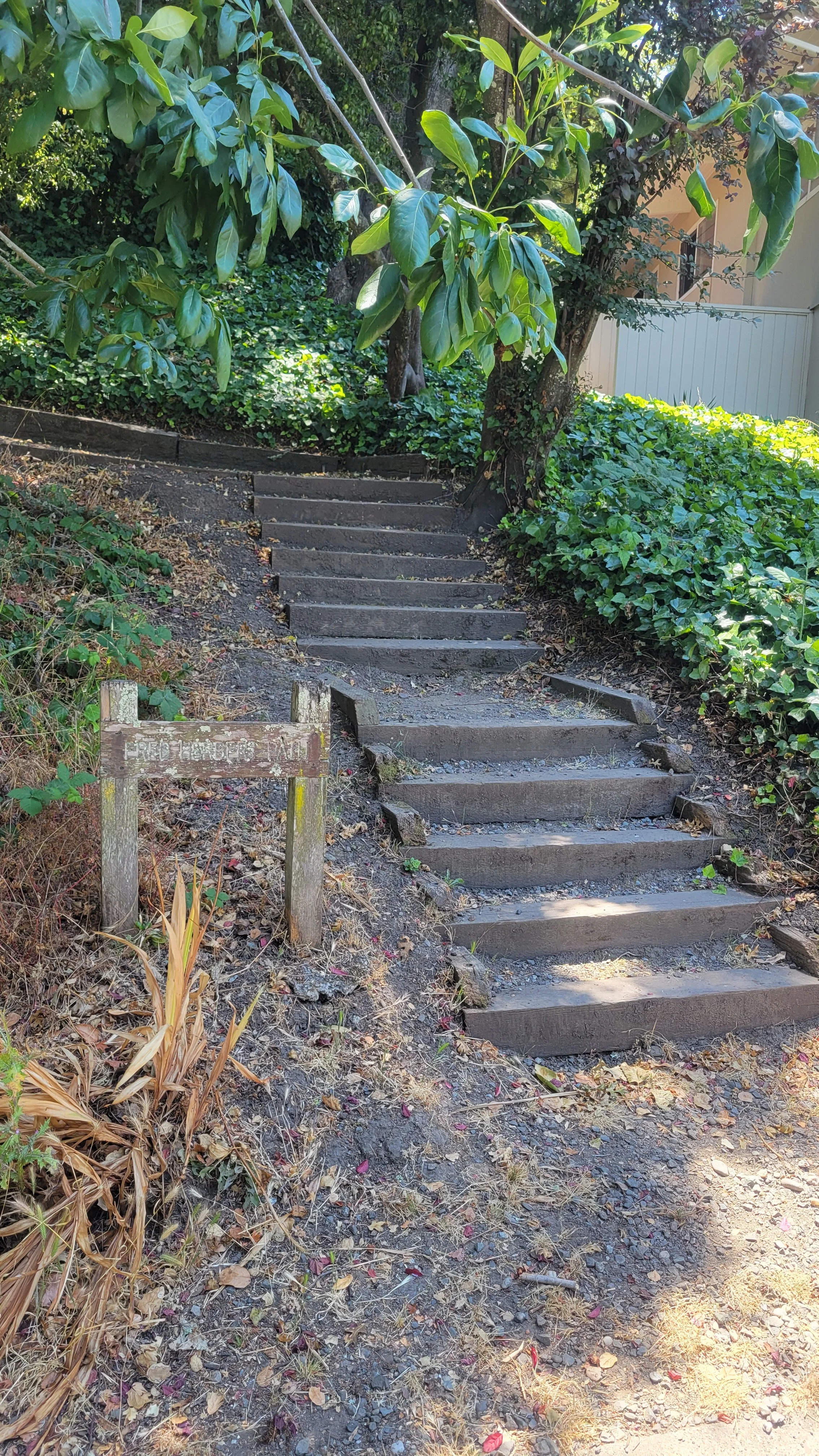 Fred Herbert Path Upper 10.jpg