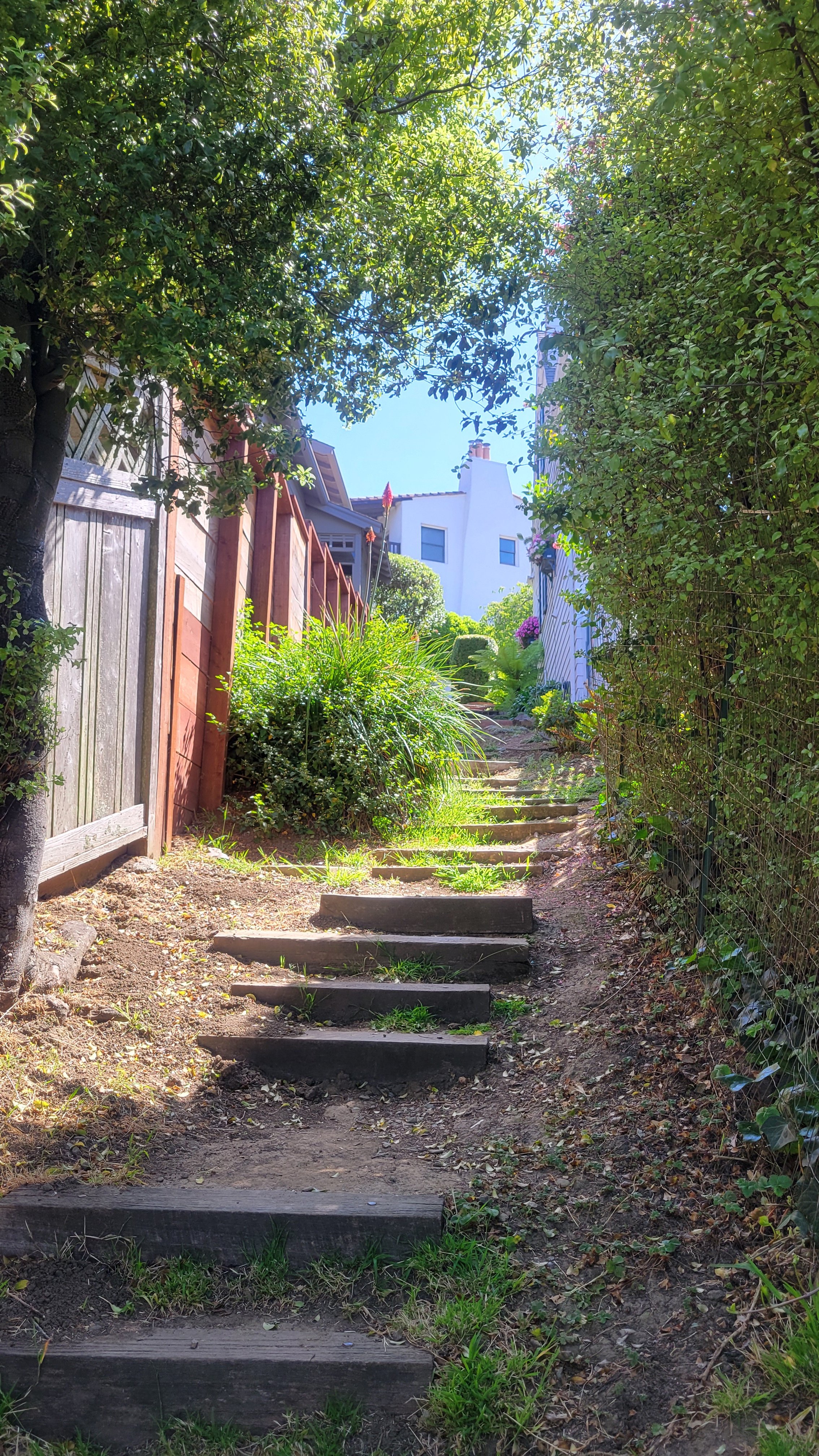 Anne Brower Path 2.jpg