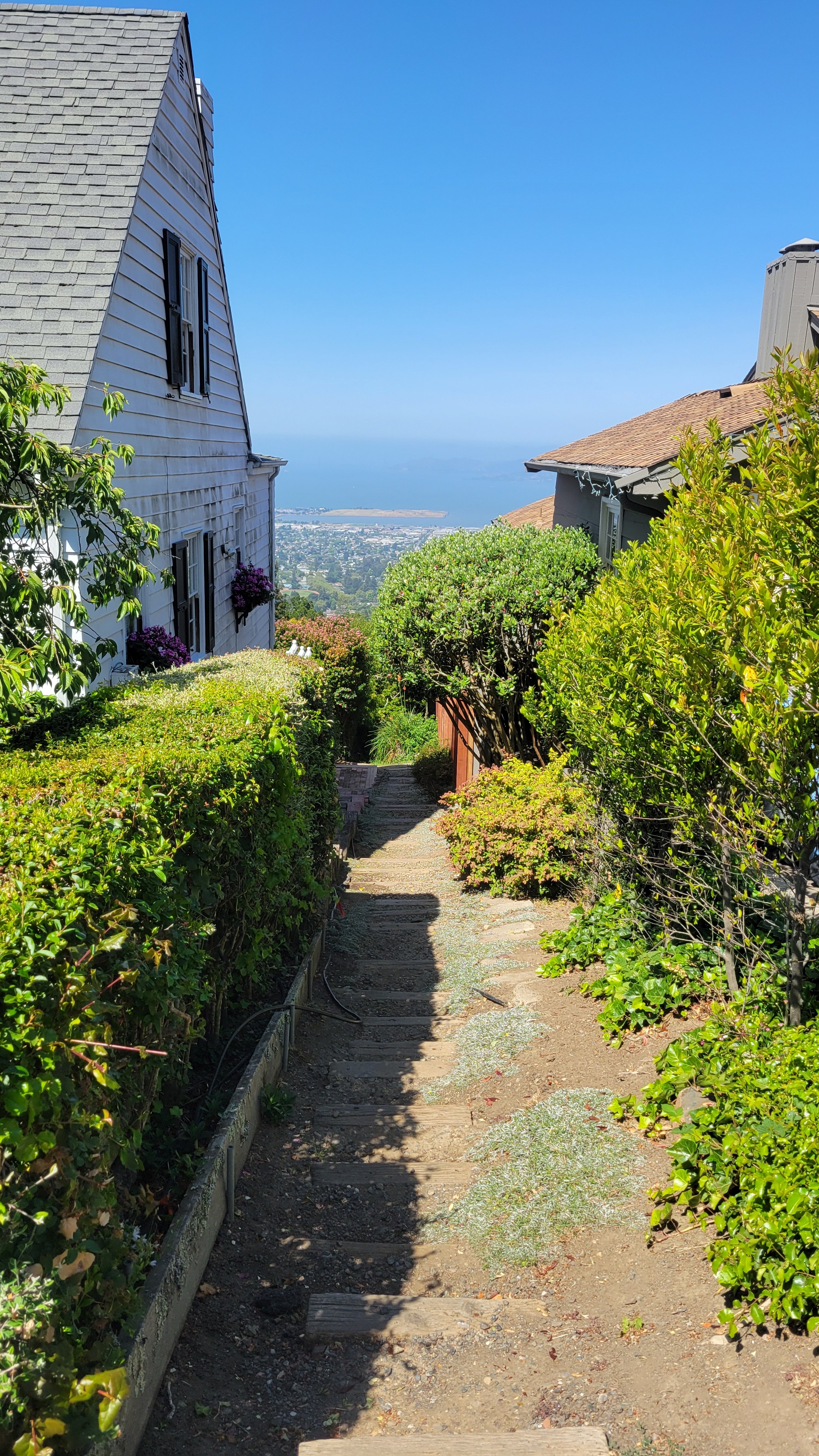 Anne Brower Path 3.jpg