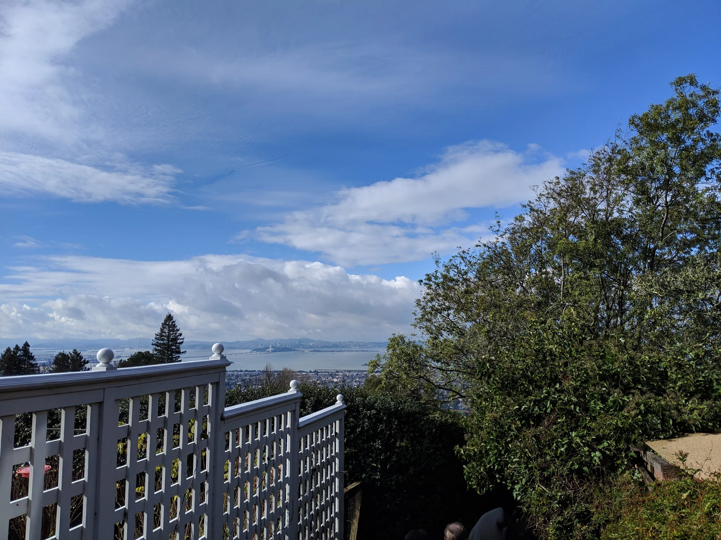 Anne Brower Path 5.jpg