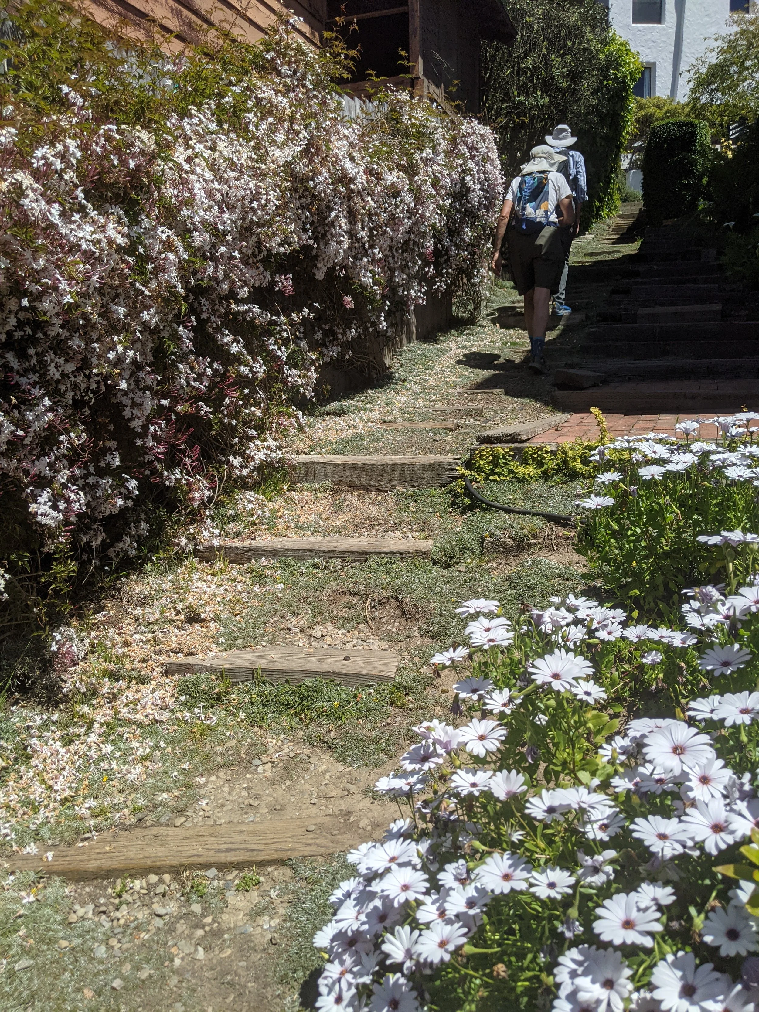 Anne Brower Path 6.jpg