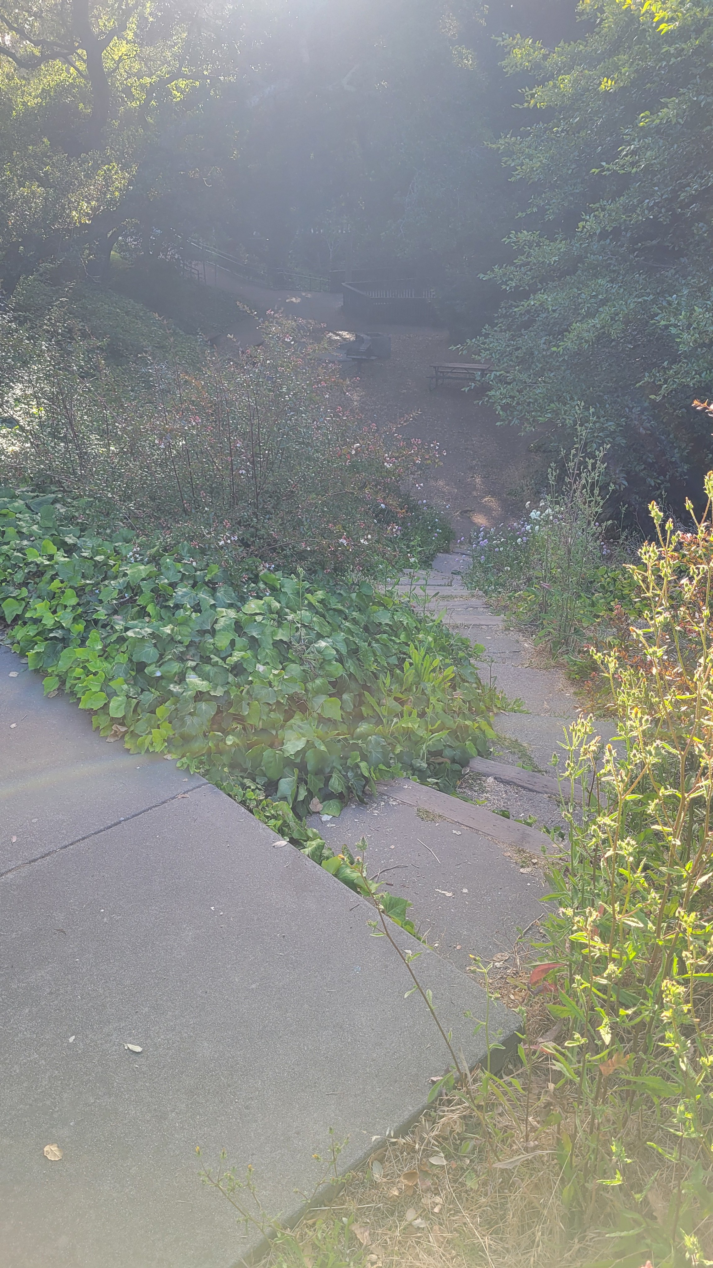 Berryman Path Middle 3.jpg