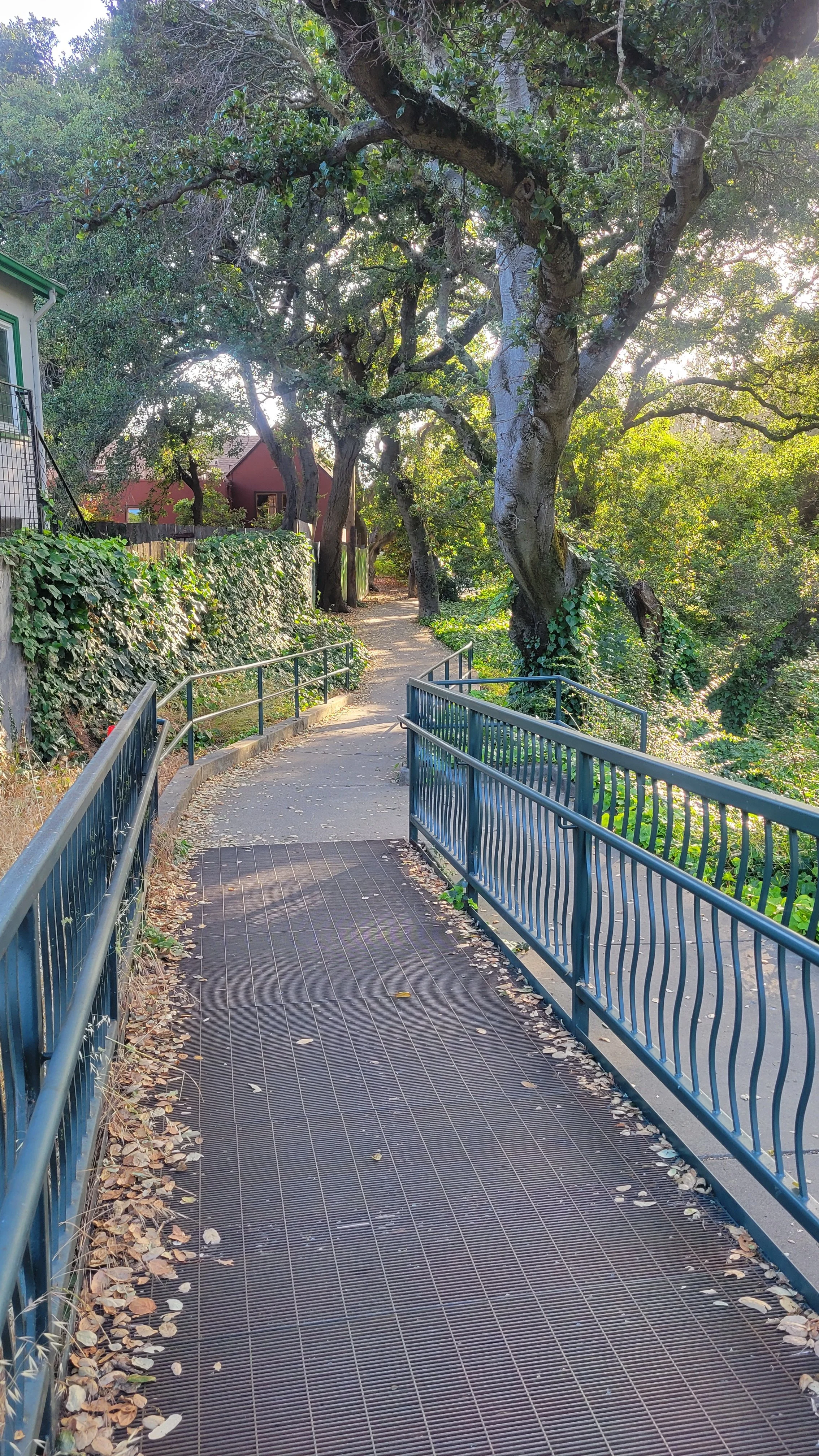 Berryman Path Middle 4.jpg