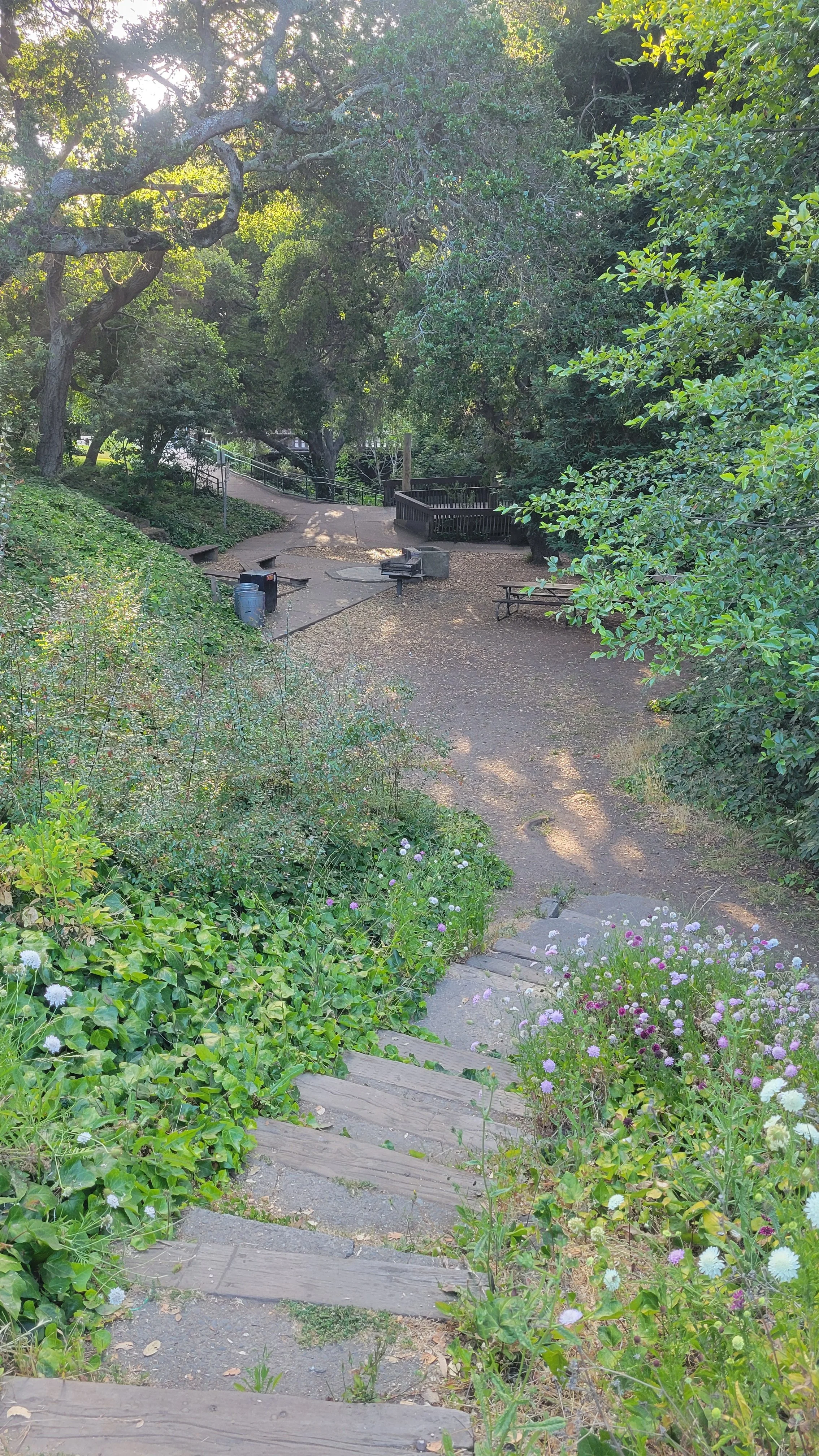 Berryman Path Middle 5.jpg