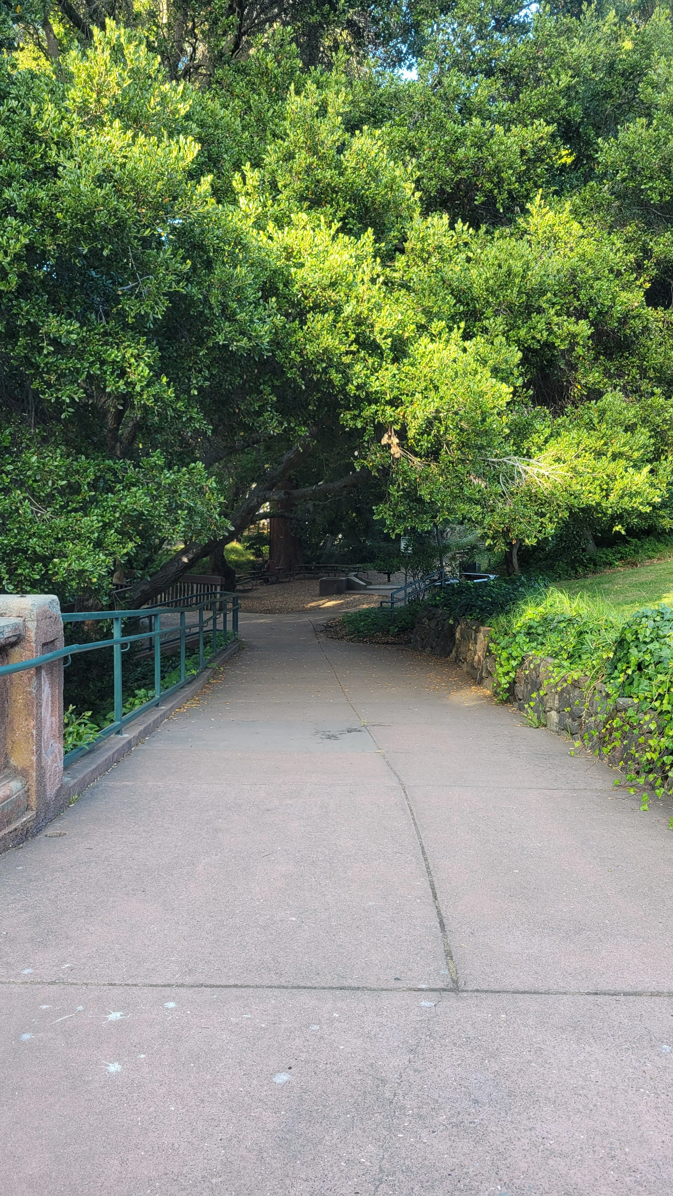 Berryman Path Middle 9.jpg