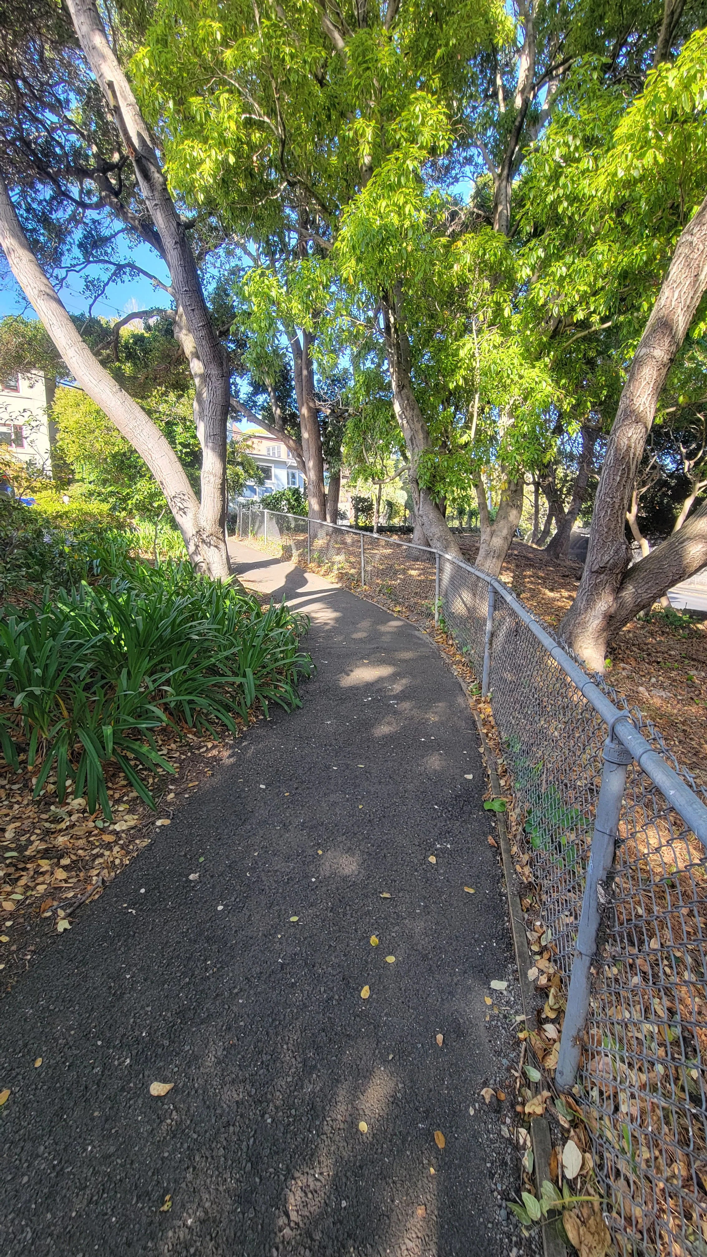 Balck Path Black Path | Discover Berkeley Paths - Join Us Today — Berkeley Path ...