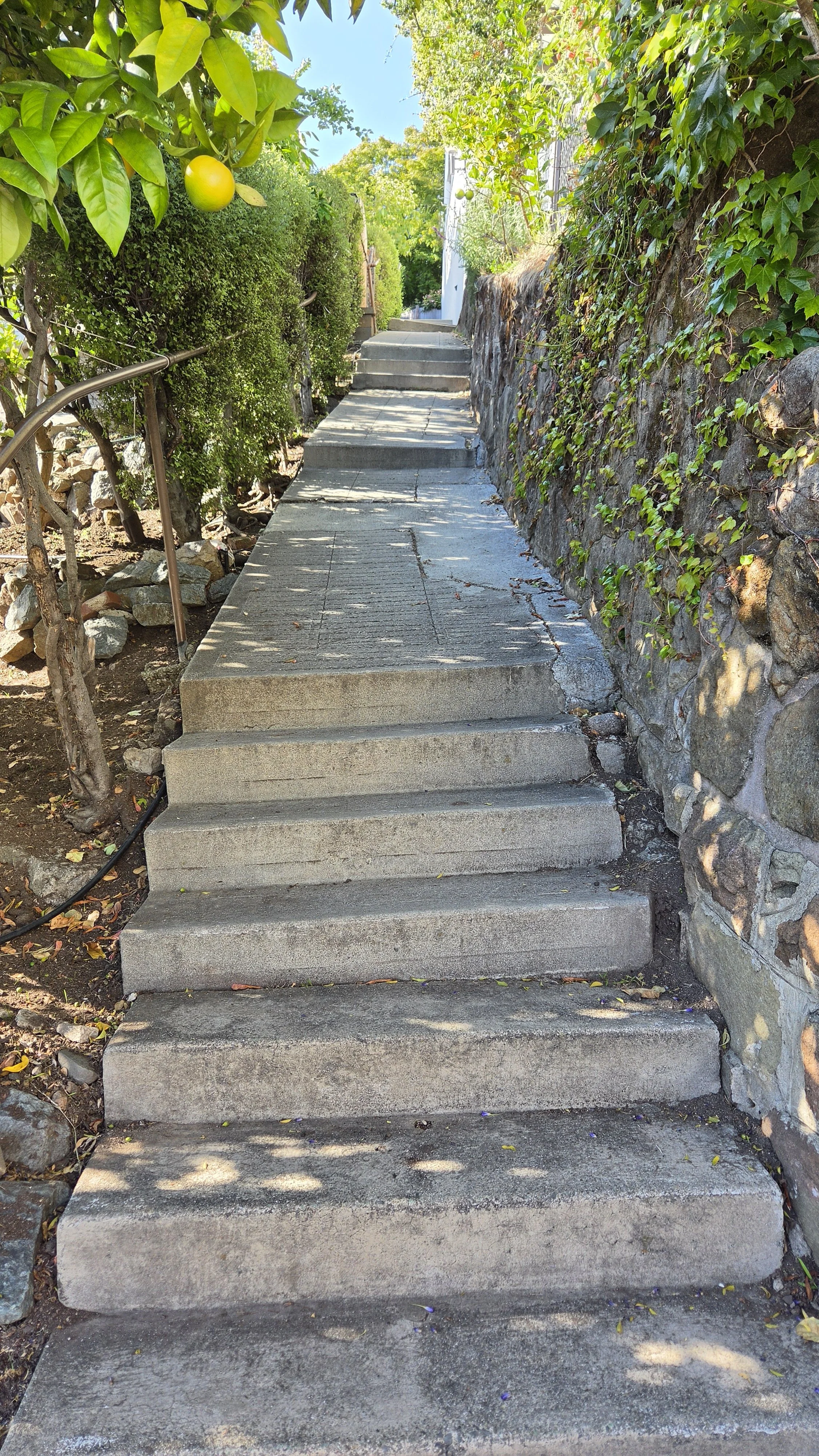 Hill Court Steps 2.jpg