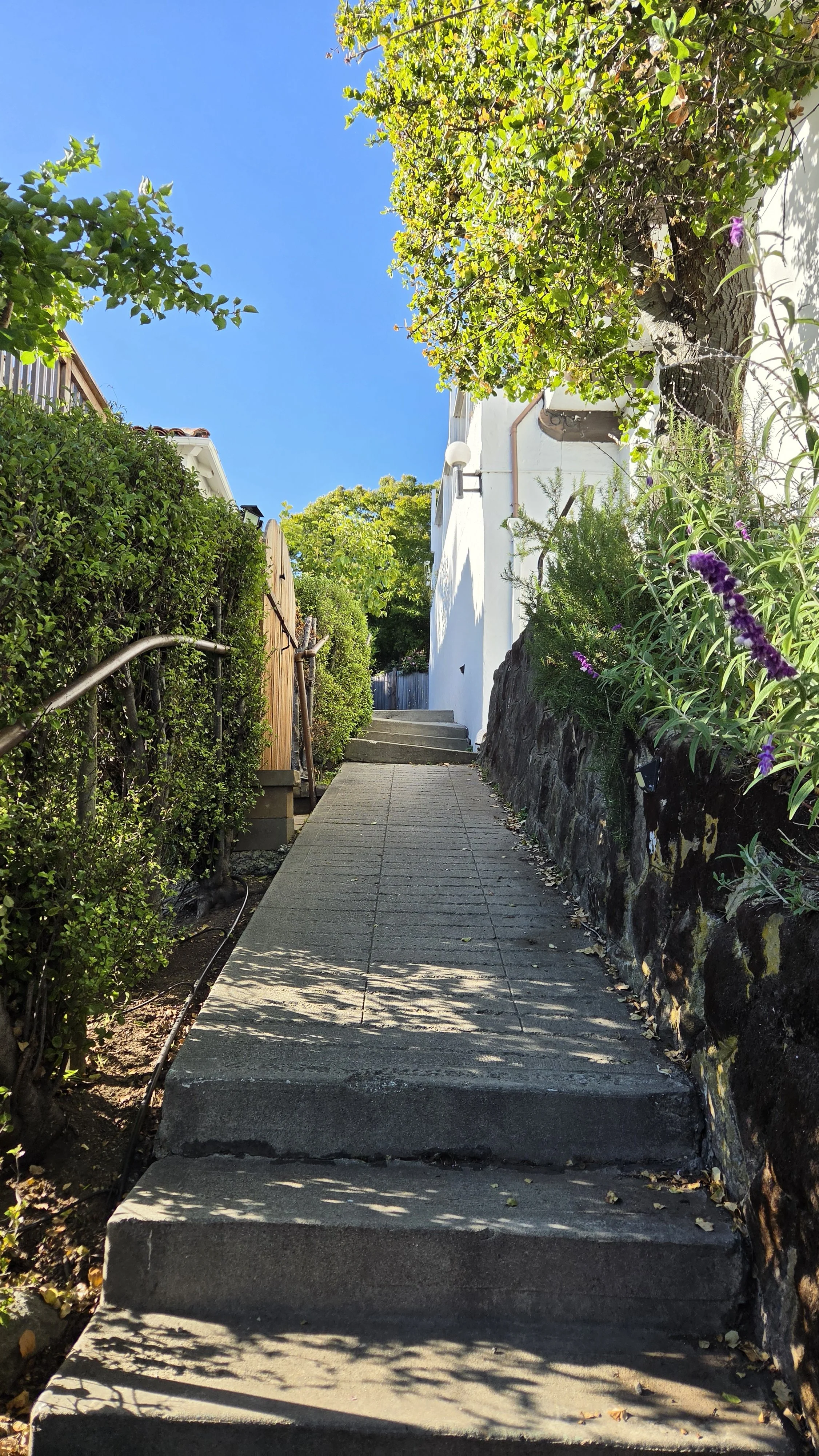 Hill Court Steps 3.jpg