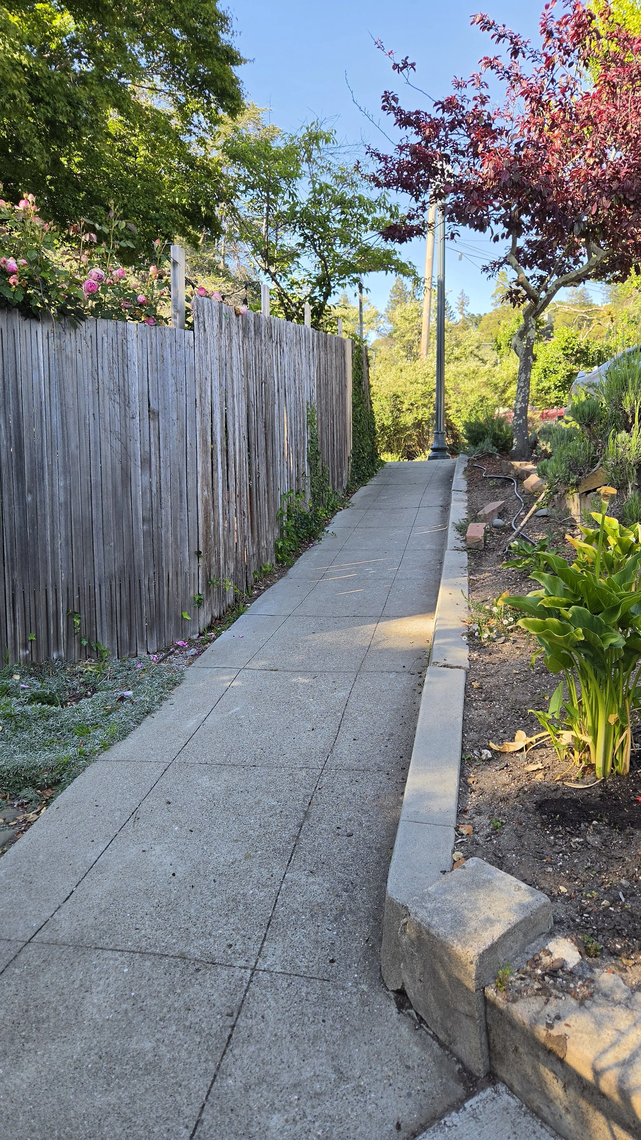 Hill Court Steps 4.jpg