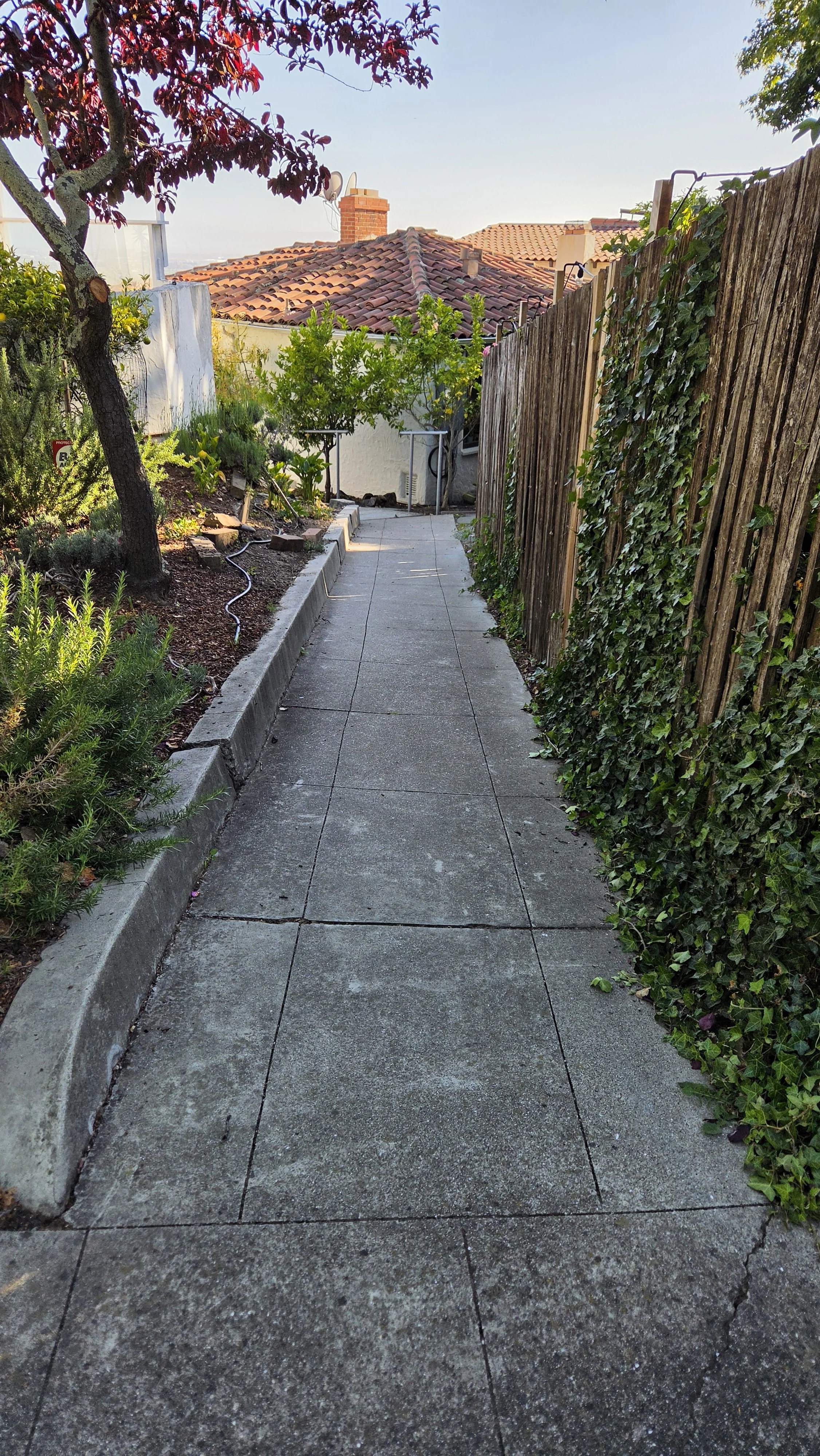 Hill Court Steps 5.jpg