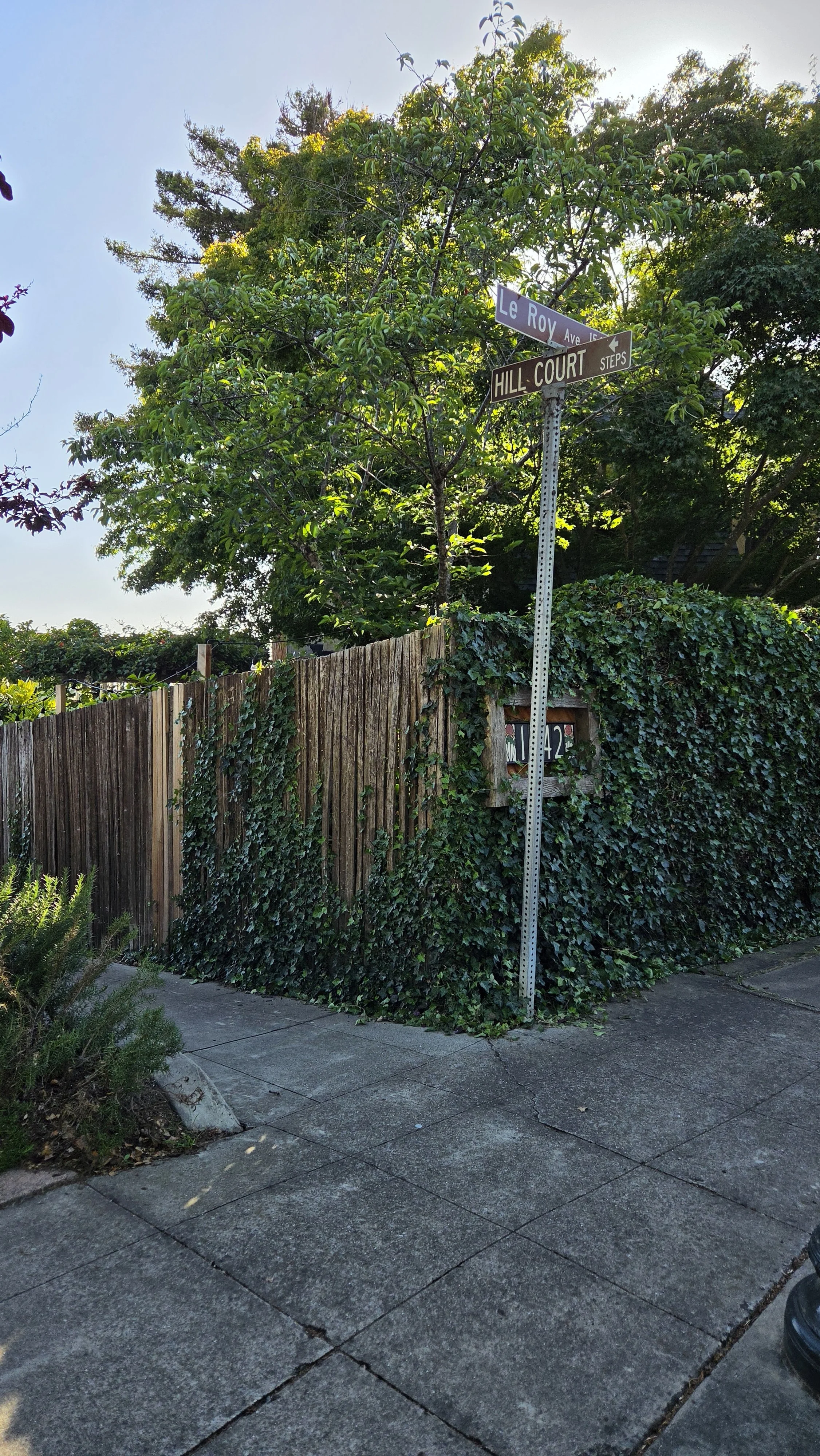 Hill Court Steps 6.jpg
