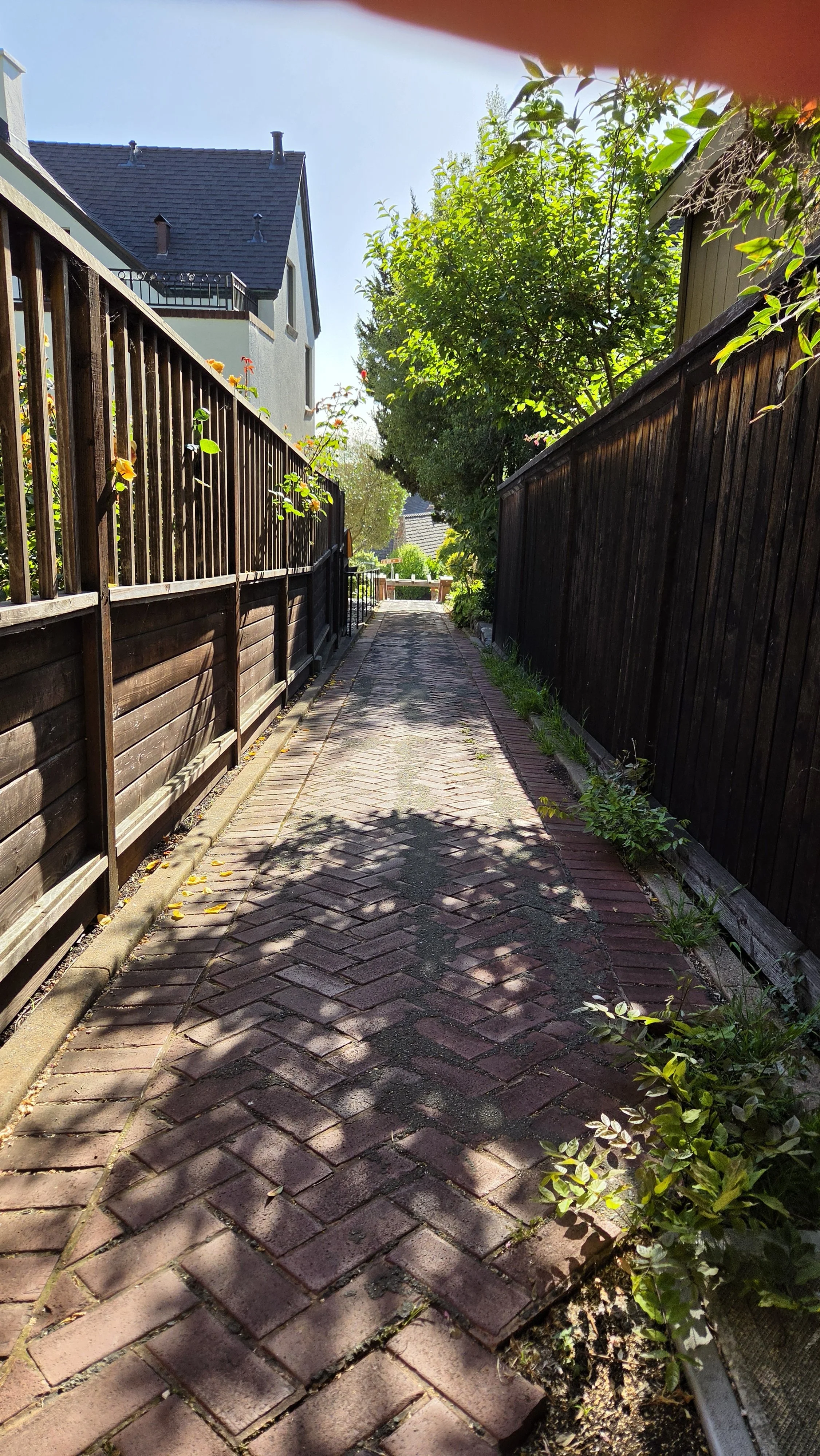 La Loma Steps 4.jpg