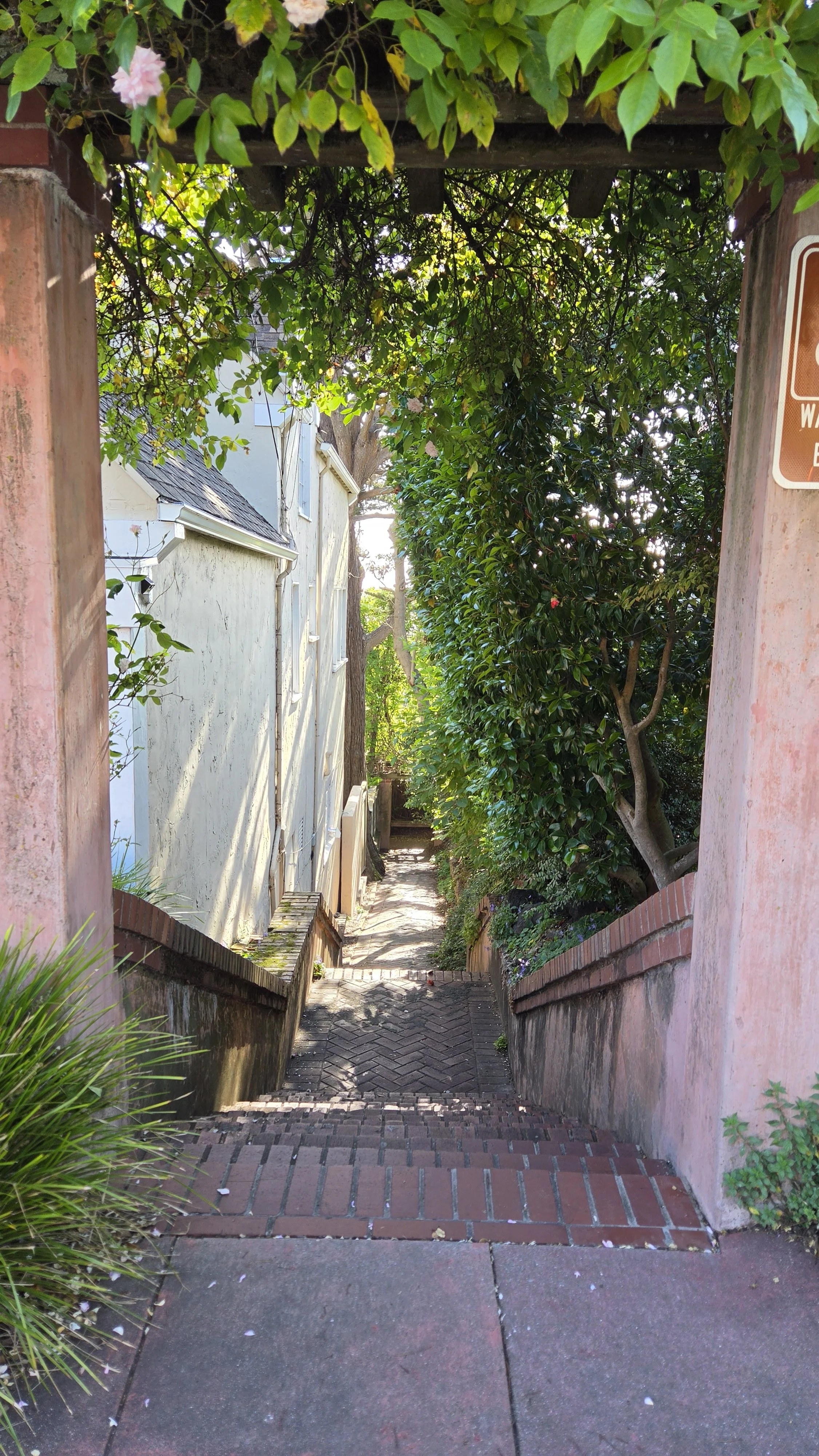 La Loma Steps 8.jpg