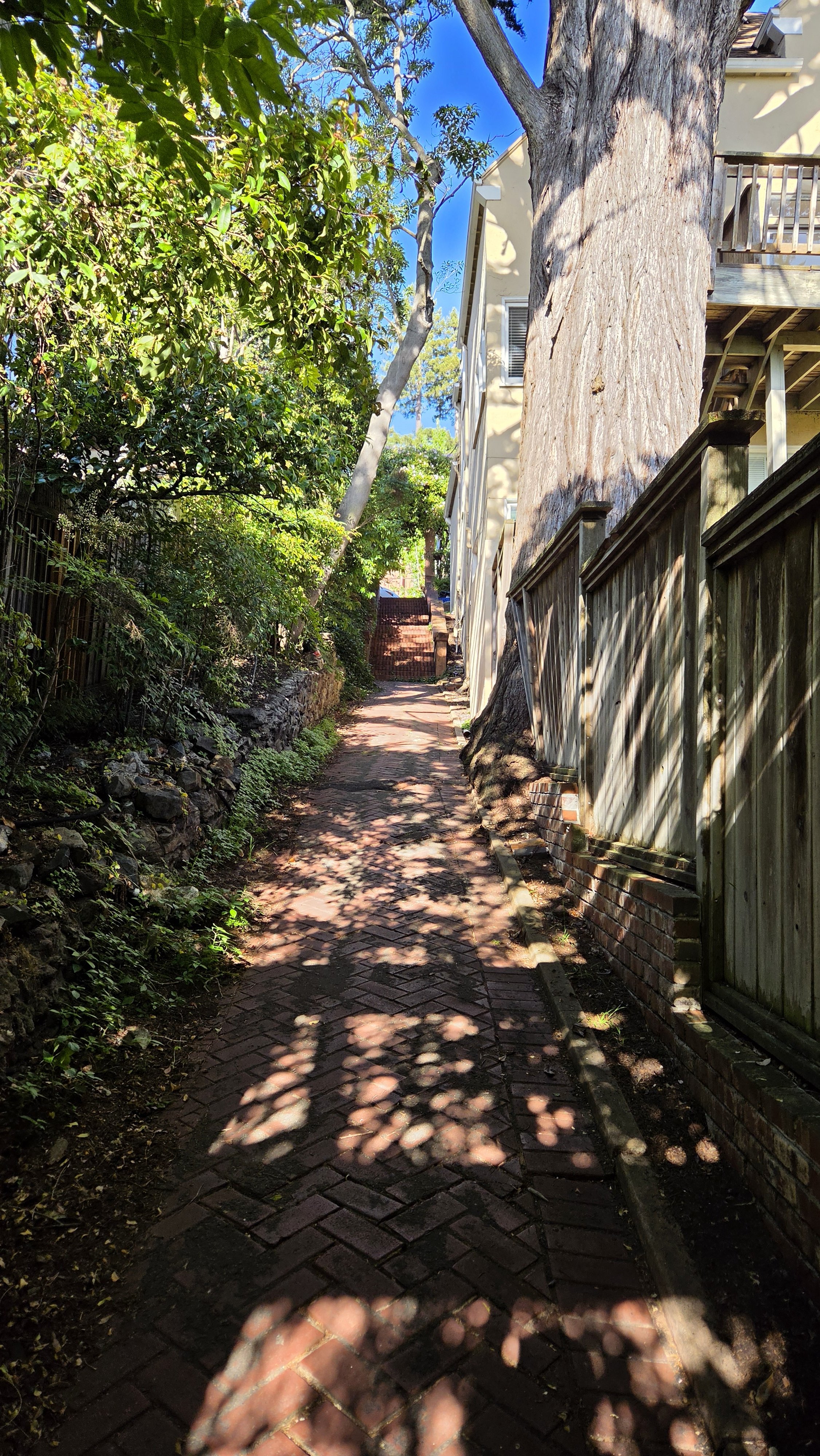 La Loma Steps 7.jpg
