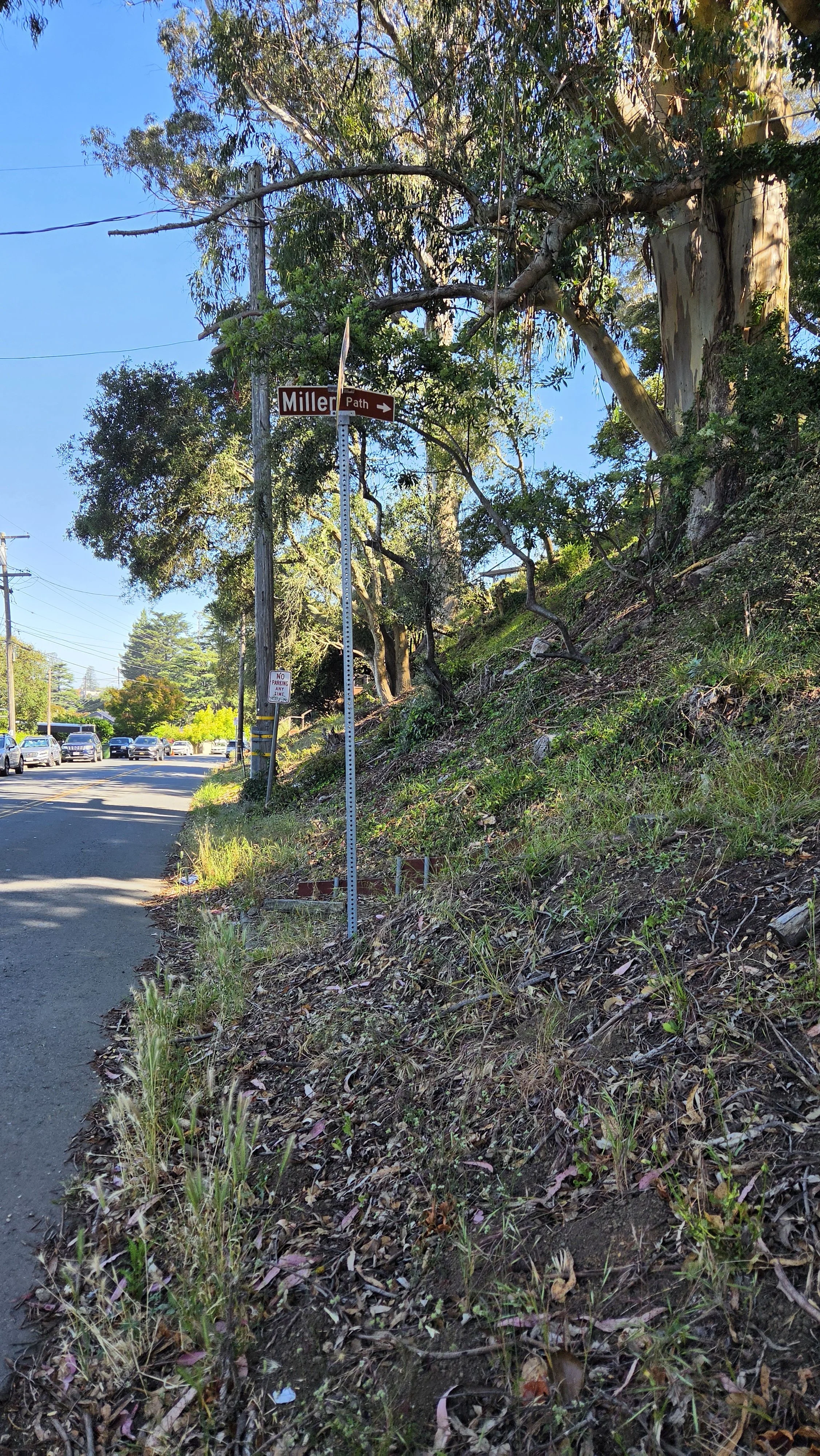 Miller Path East 1.jpg