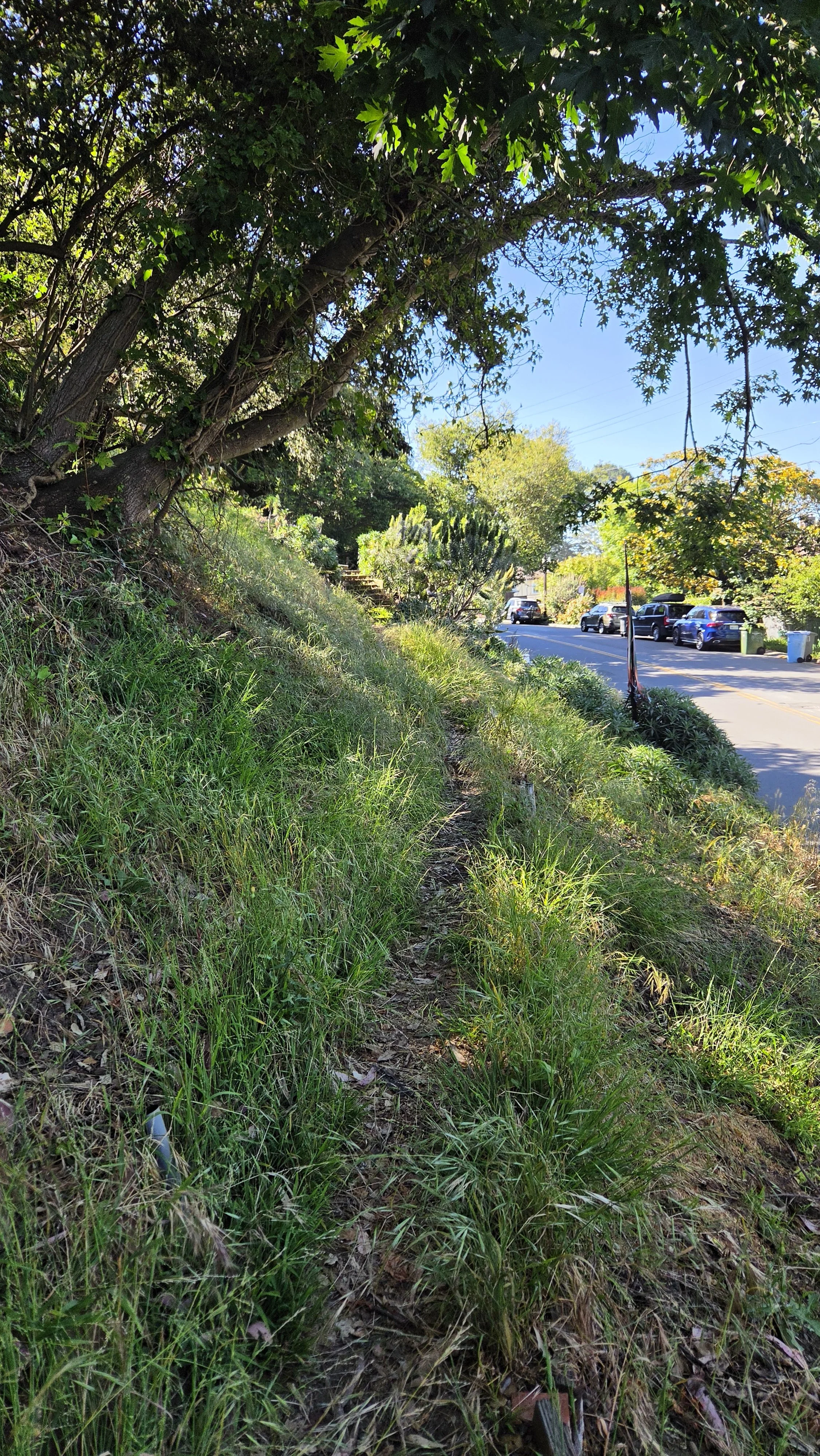 Miller Path East 3.jpg