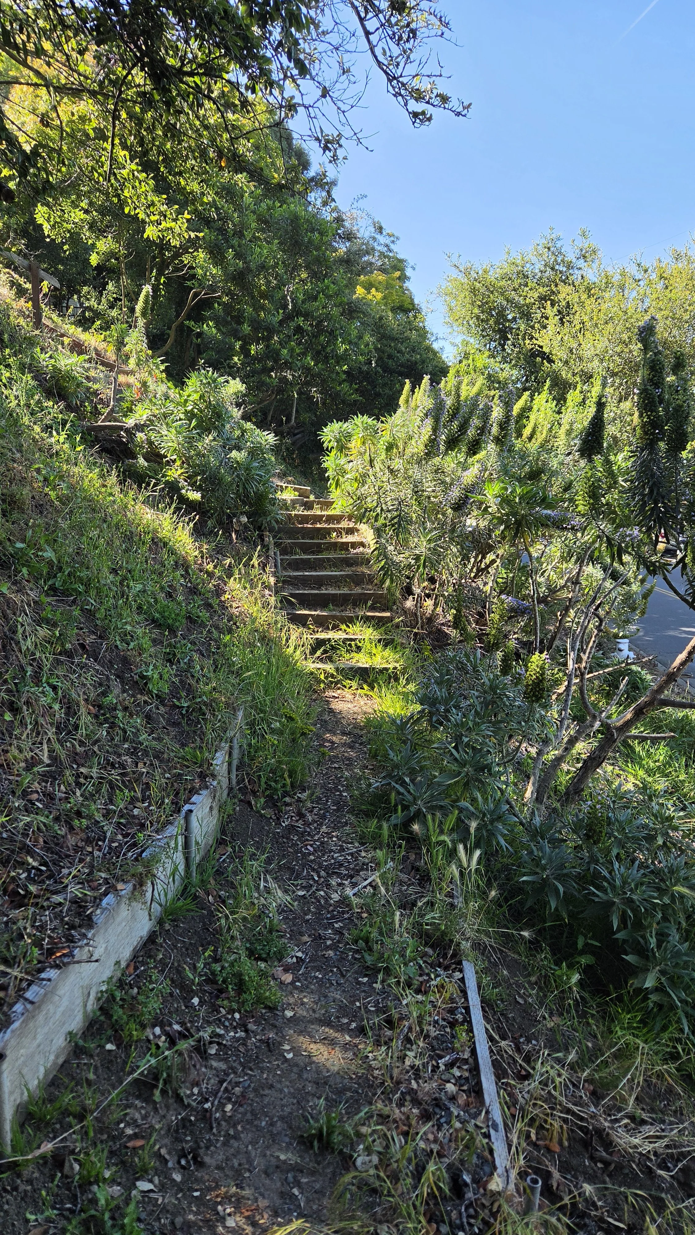 Miller Path East 4.jpg