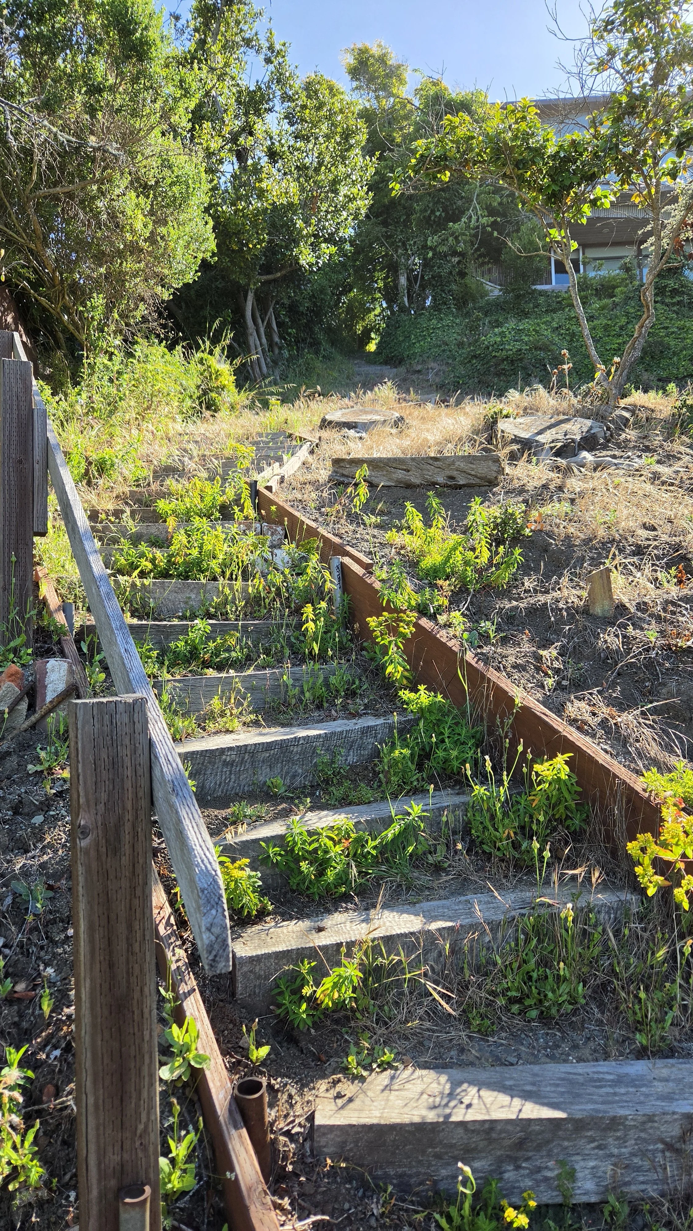 Miller Path East 5.jpg
