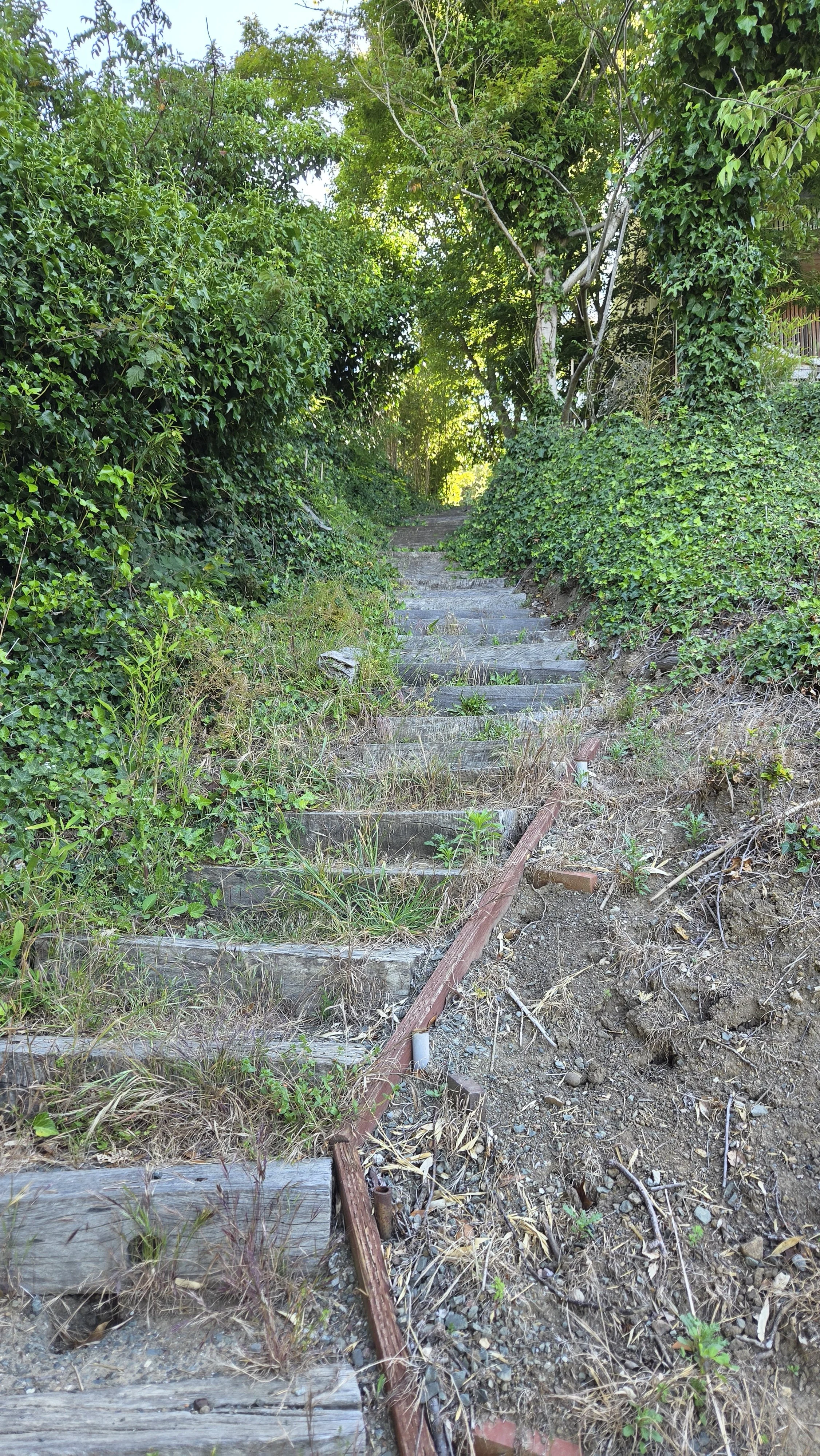 Miller Path East 6.jpg