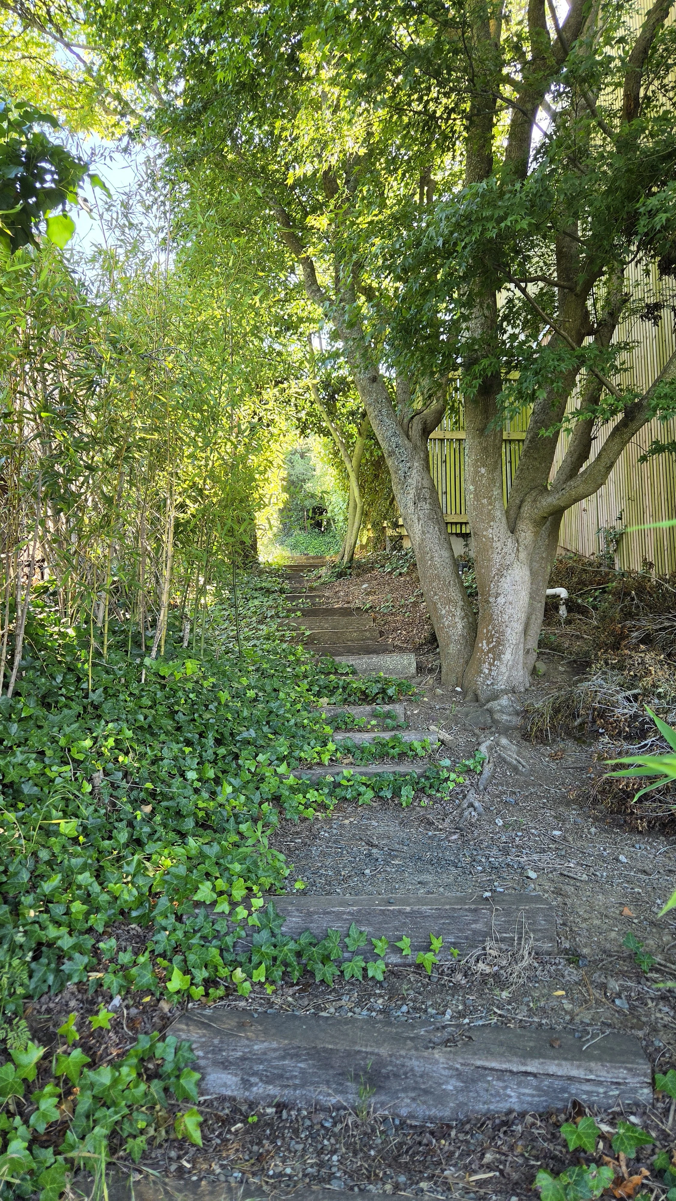 Miller Path East 7.jpg