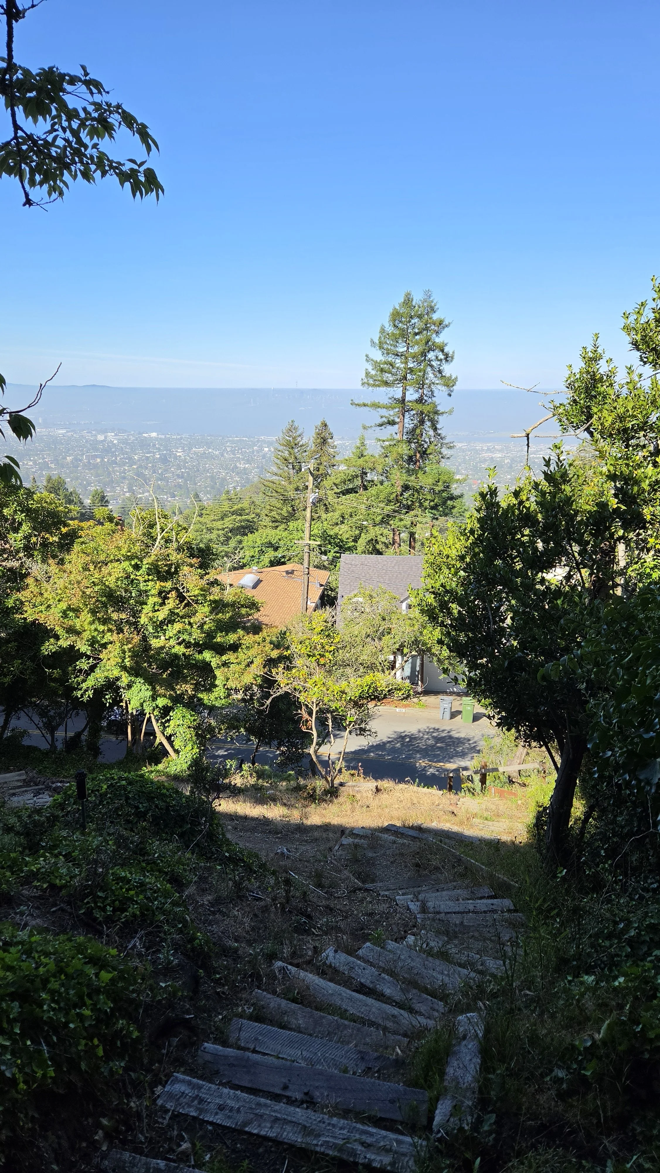 Miller Path East 9.jpg