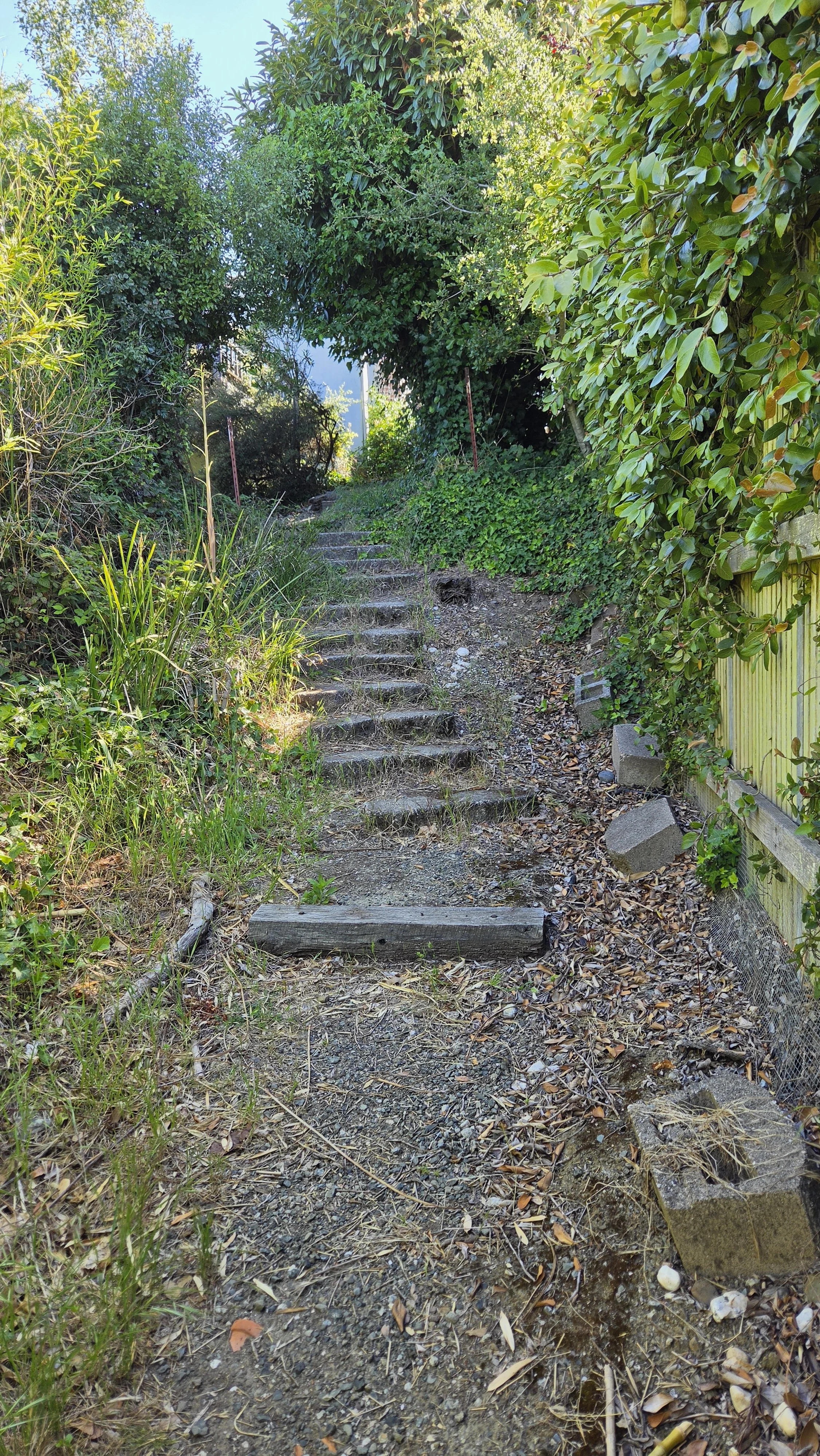 Miller Path East 8.jpg