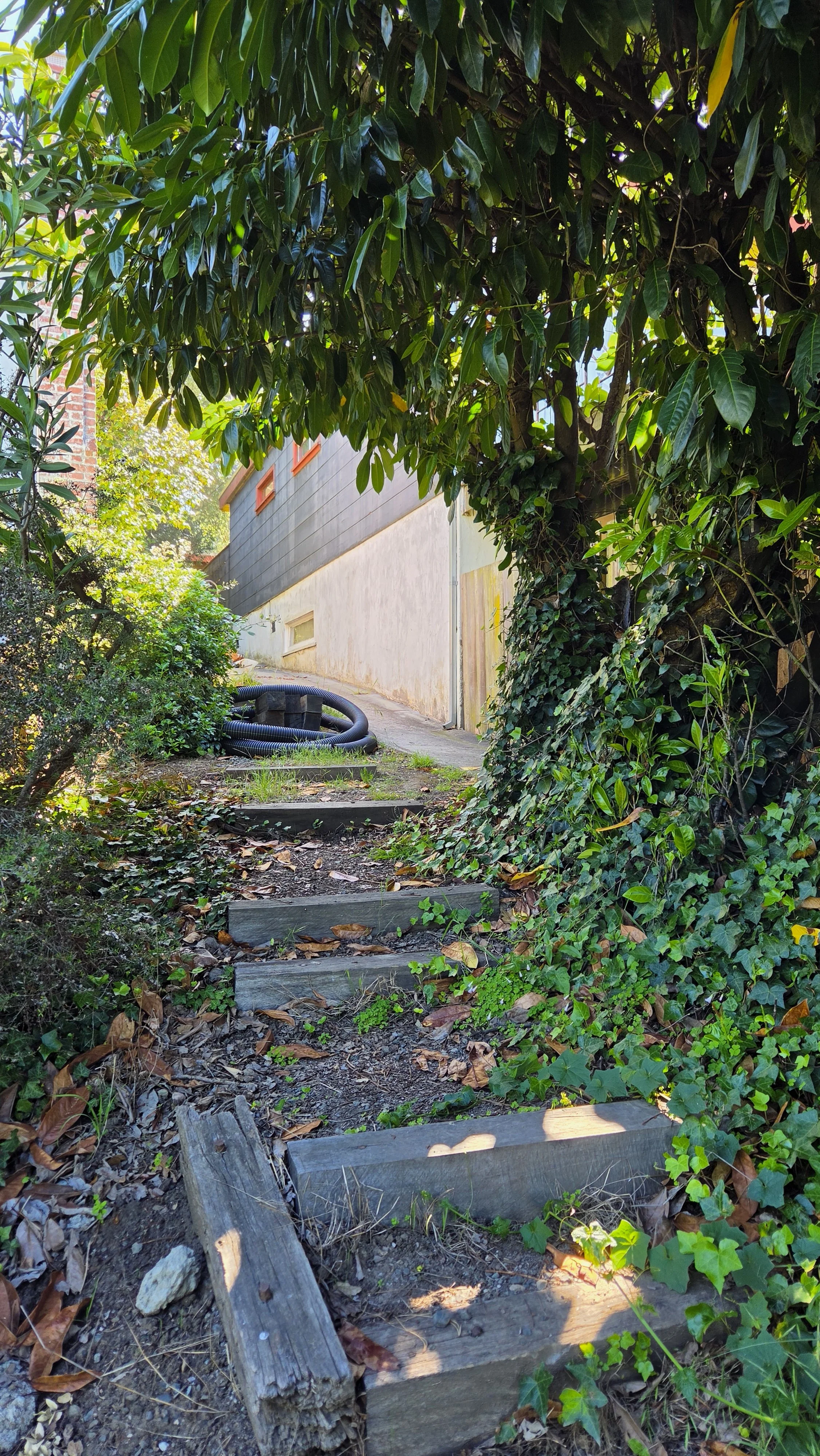 Miller Path East 10.jpg