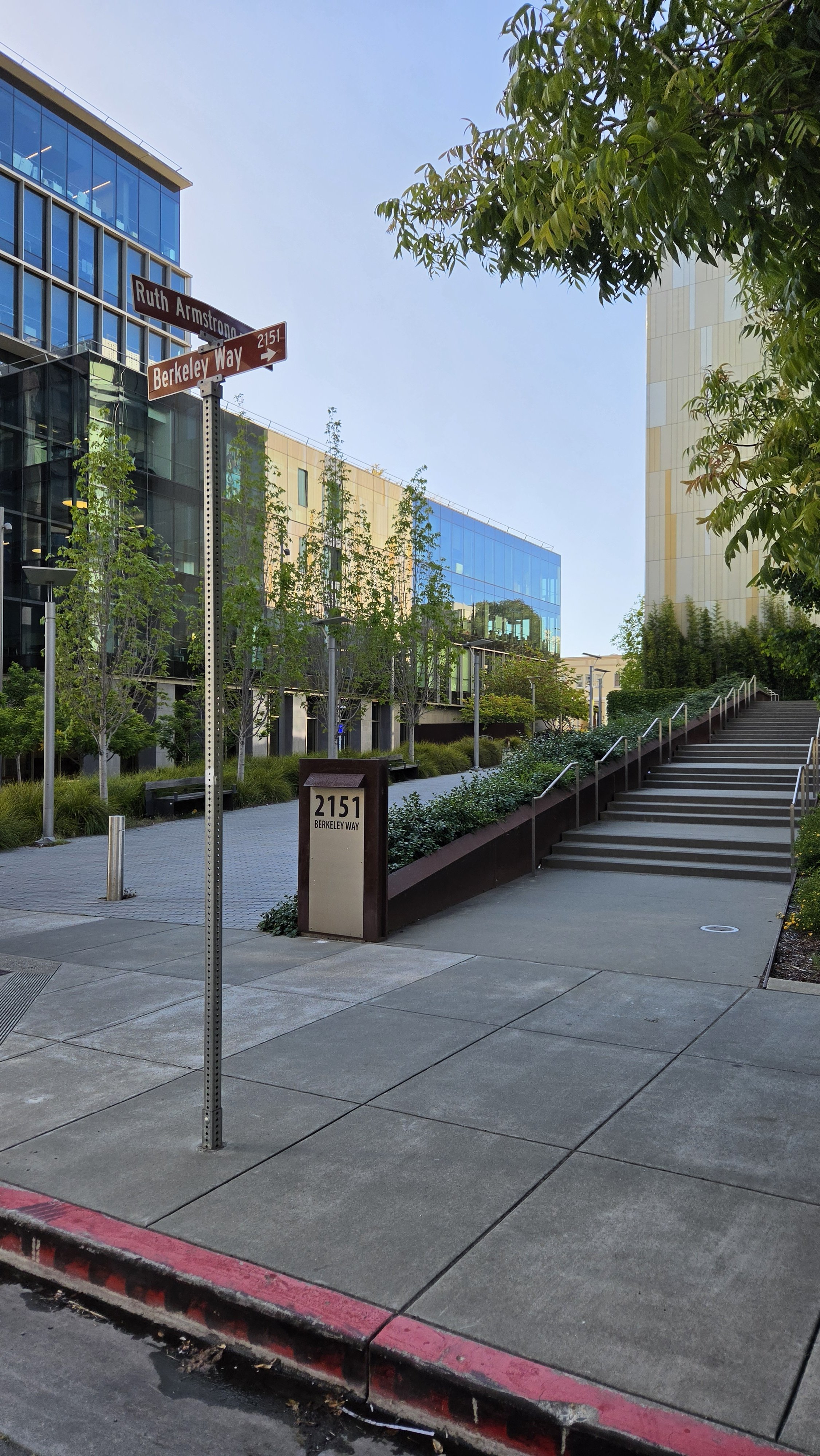 Ruth Armstrong Path 1.jpg