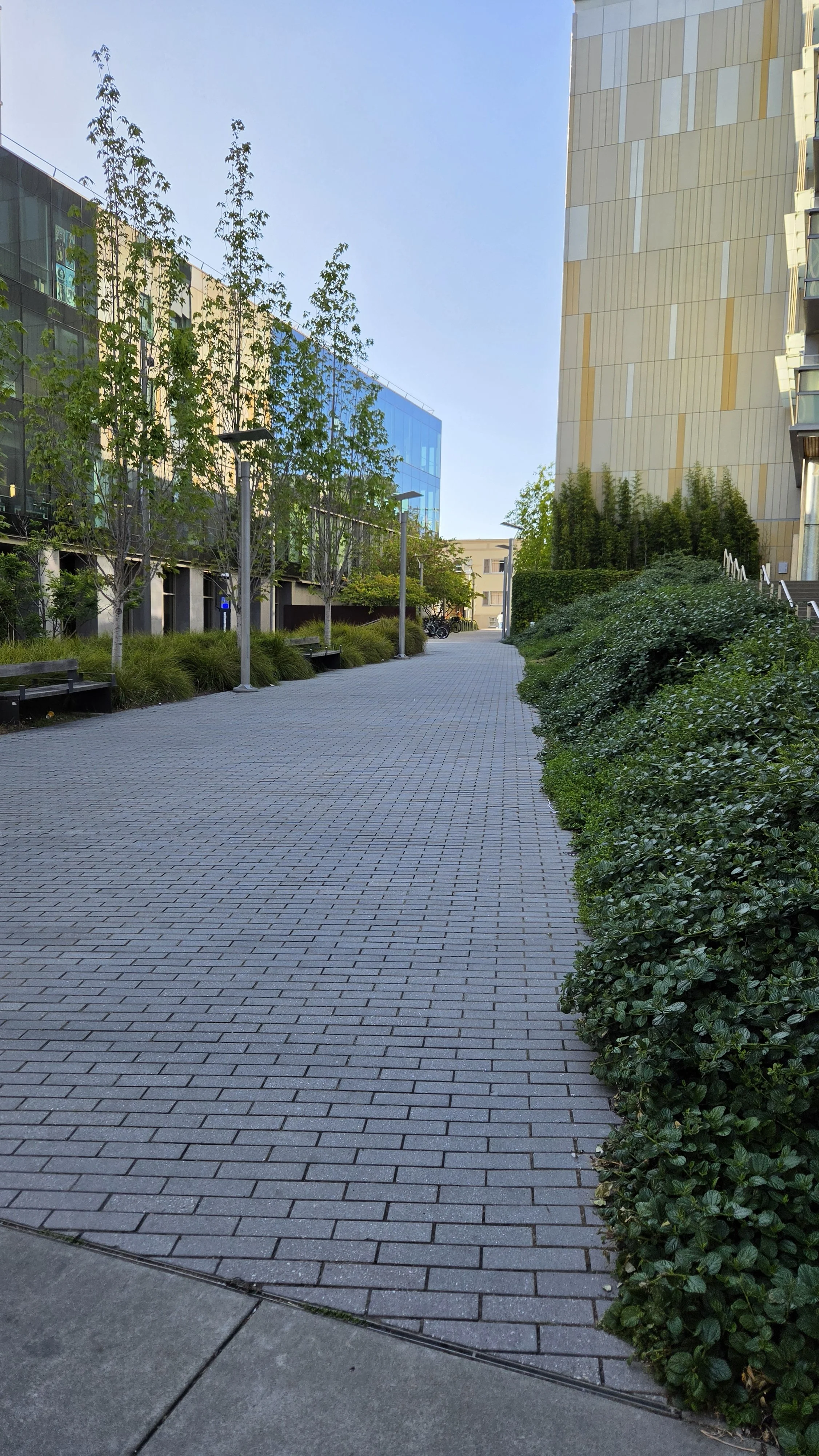 Ruth Armstrong Path 2.jpg
