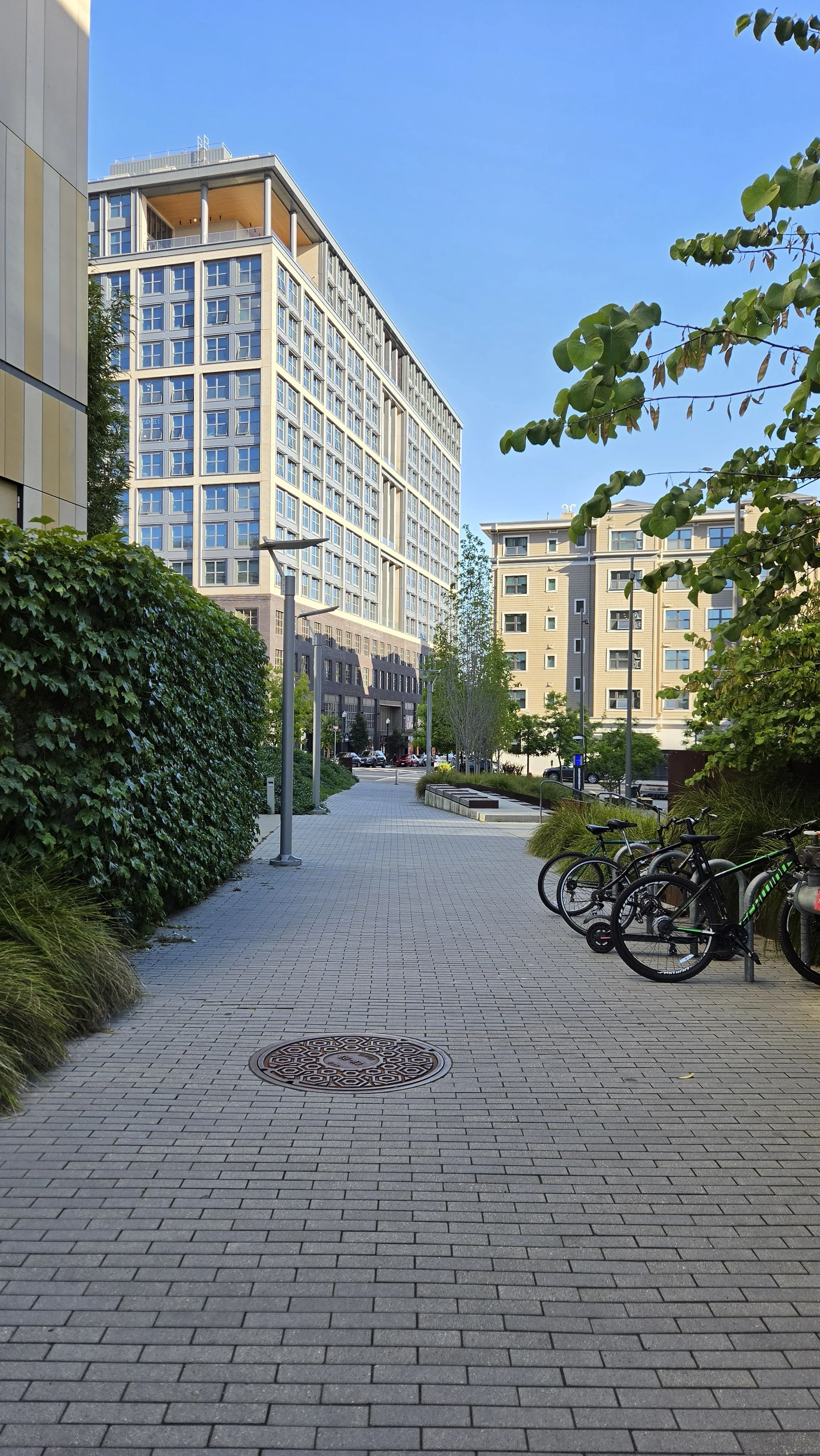 Ruth Armstrong Path 3.jpg