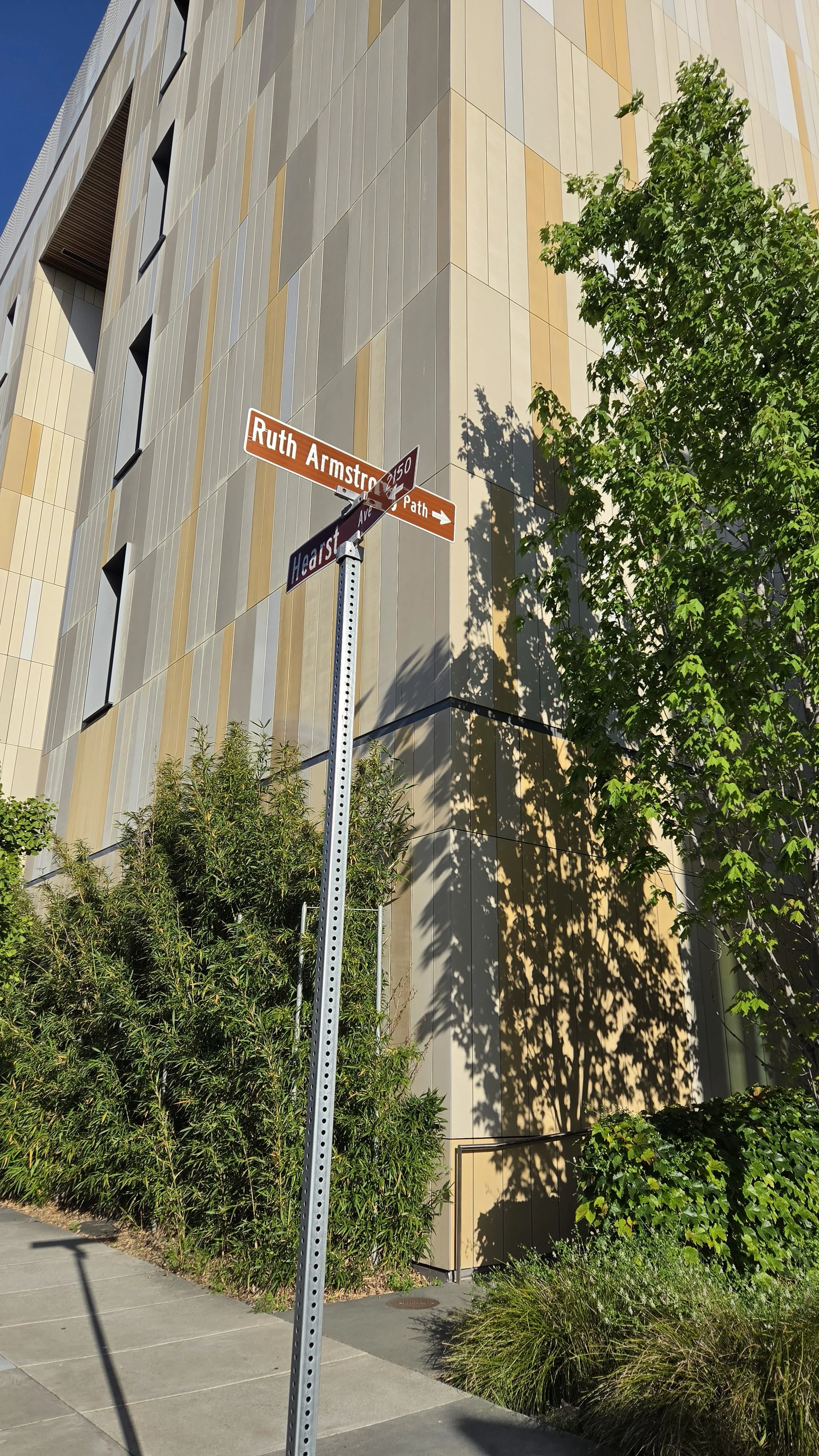 Ruth Armstrong Path 4.jpg
