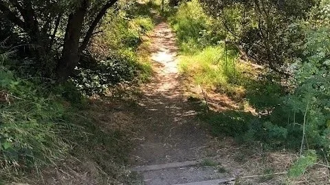 Remillard Park to Grizzly Peak