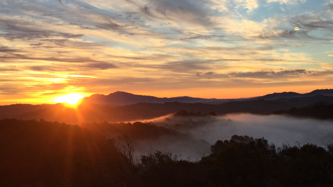 Sunrise Hike in Tilden Park