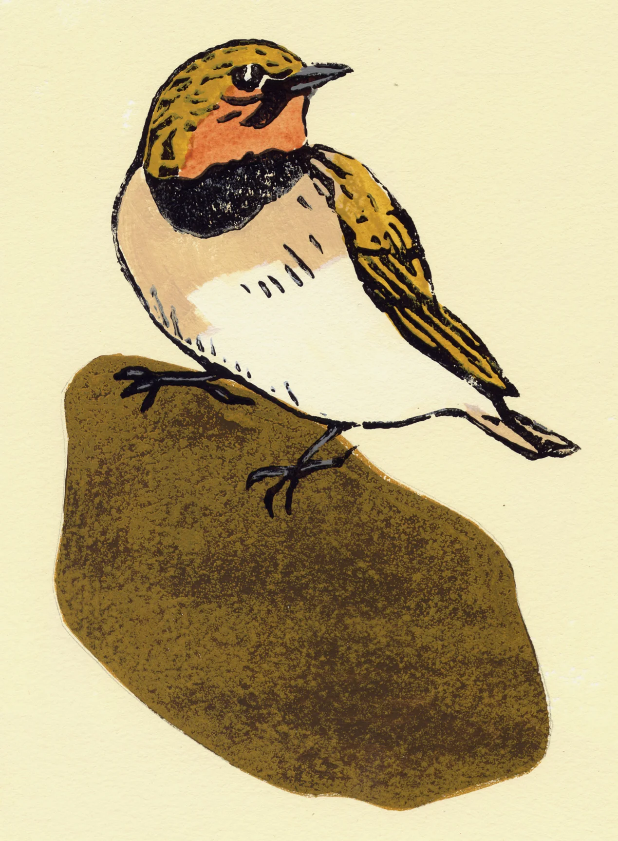 Horned Lark