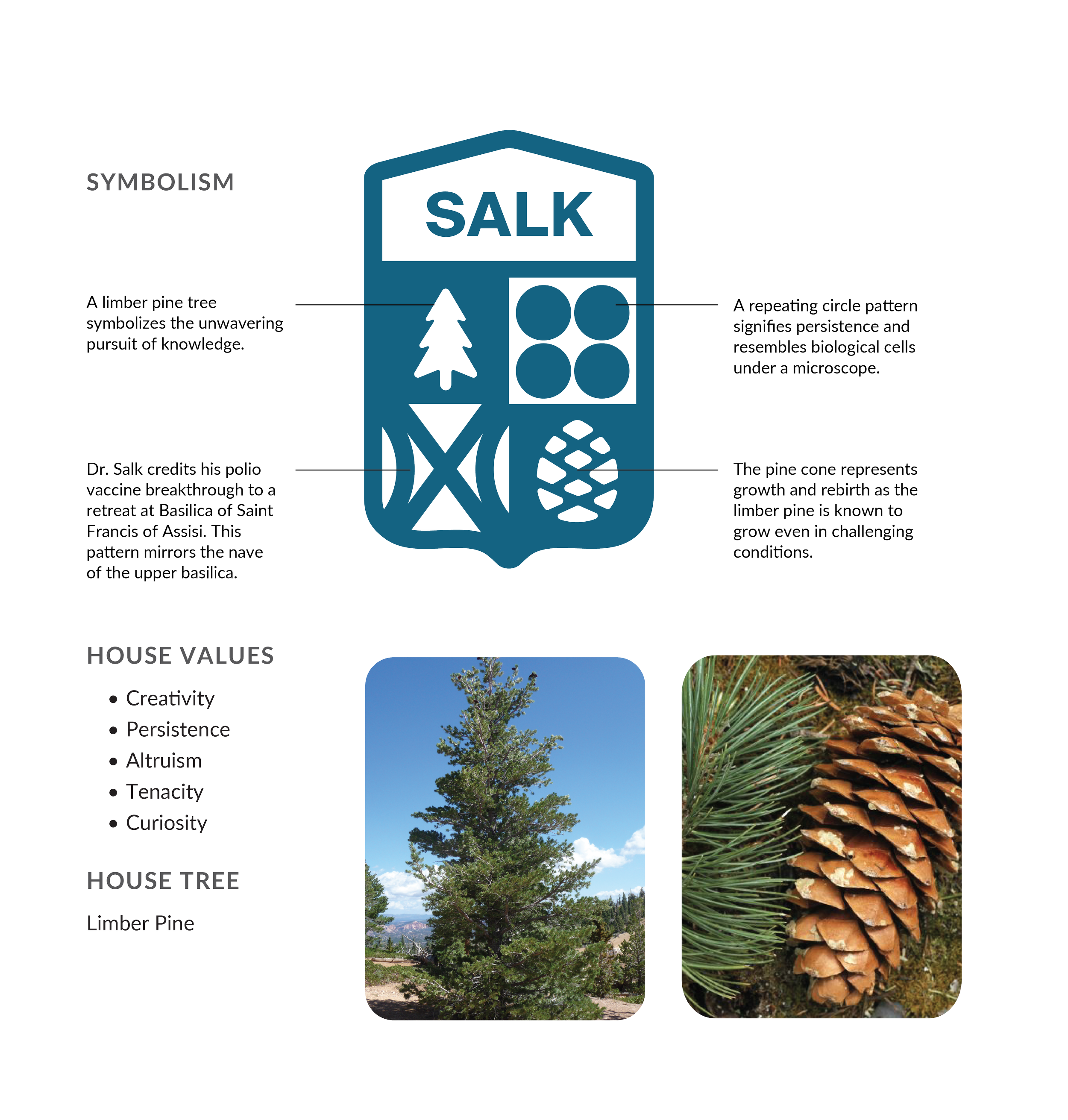 AWSOM House Identities Symbolism-02.png
