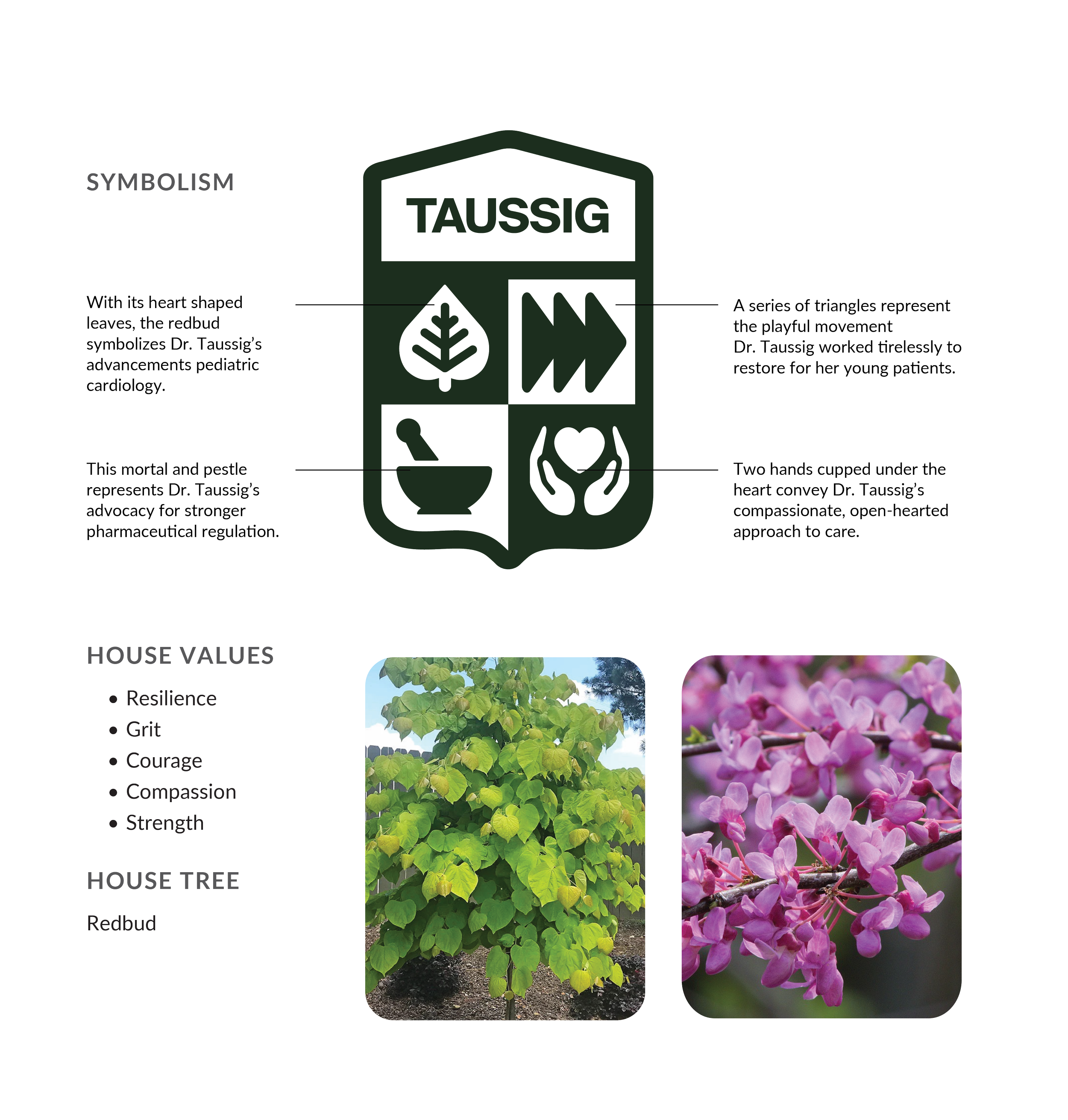 AWSOM House Identities Symbolism-03.png