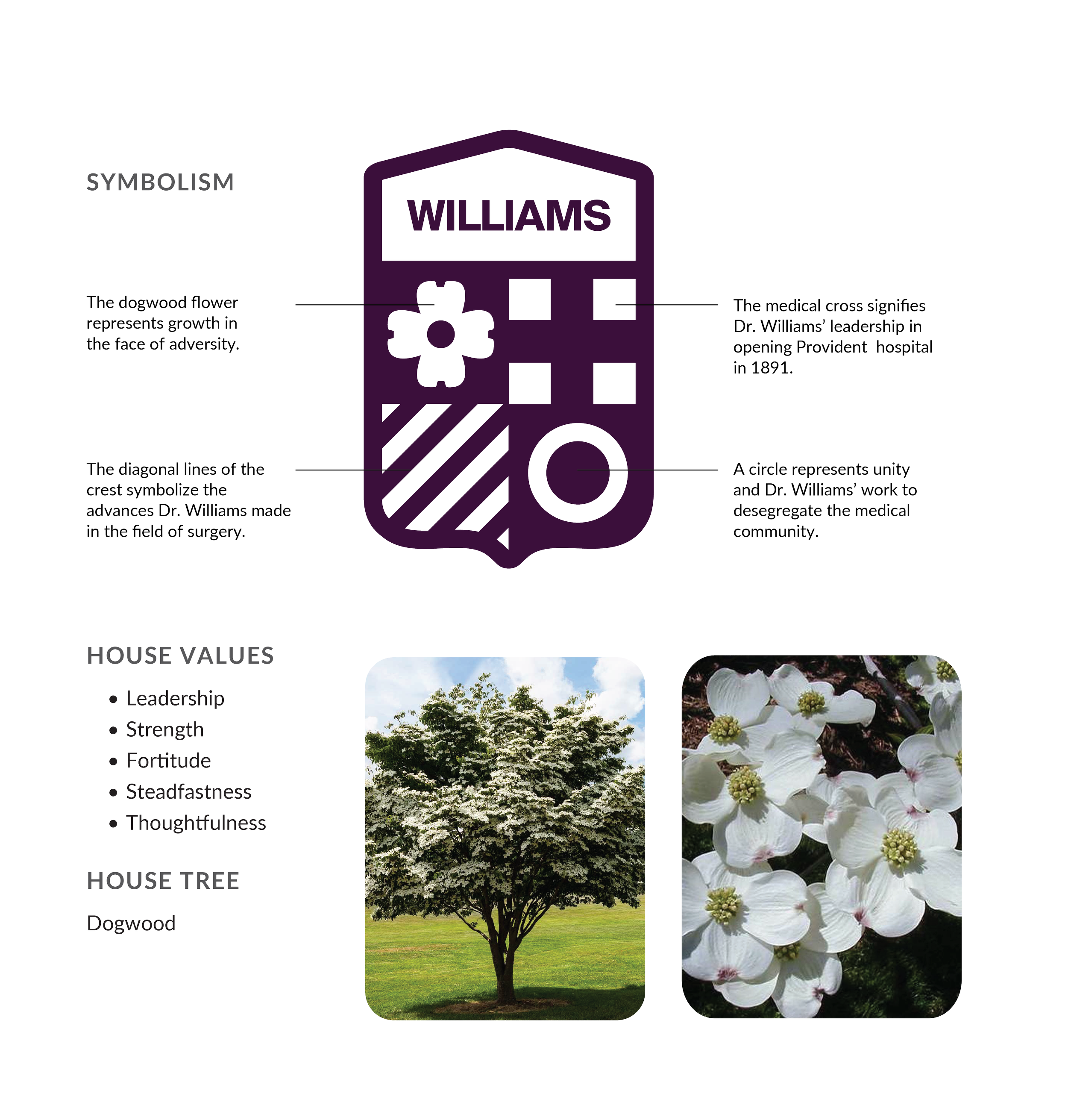 AWSOM House Identities Symbolism-04.png