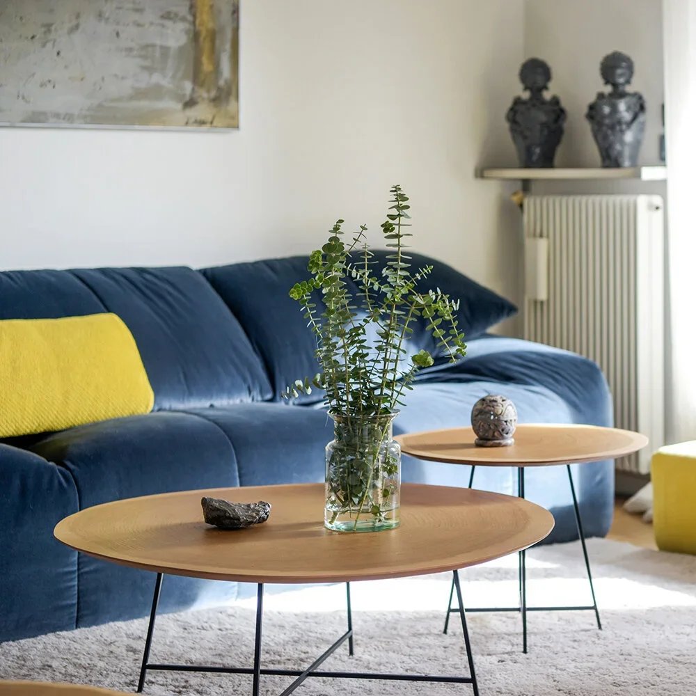 APPARTEMENT COZY - CHÂTENAY-MALABRY