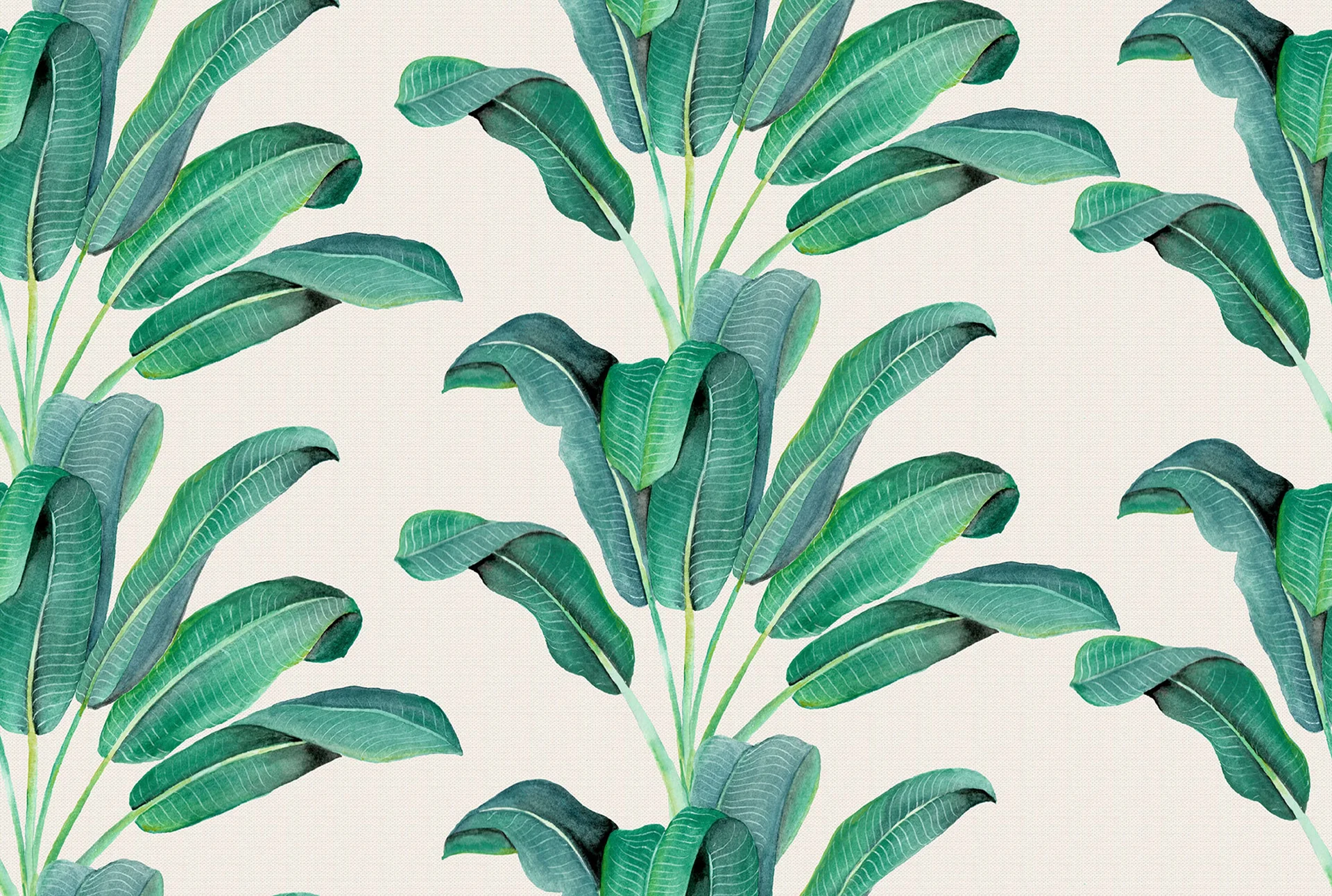 Wallpapers-HD-Banana-Leaf.jpg
