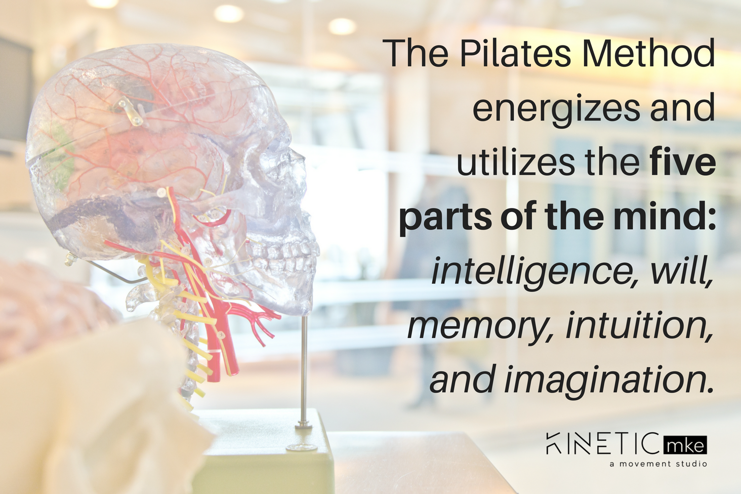 We offer a unique experience in Milwaukee to practice the Pilates Method as it was originally intended, with your individual needs in mind. 
