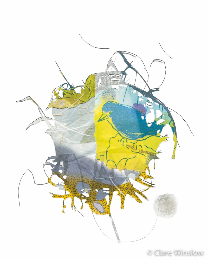 Birdnest_web (1 of 1).jpg